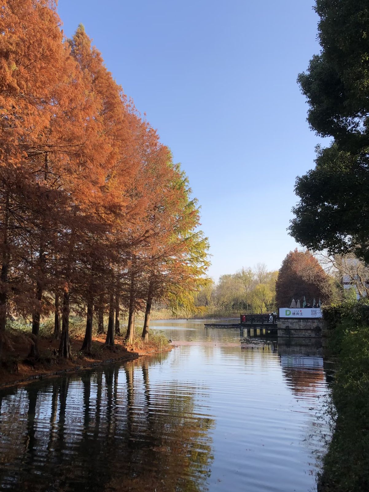 虎丘湿地公园旅行图片 1