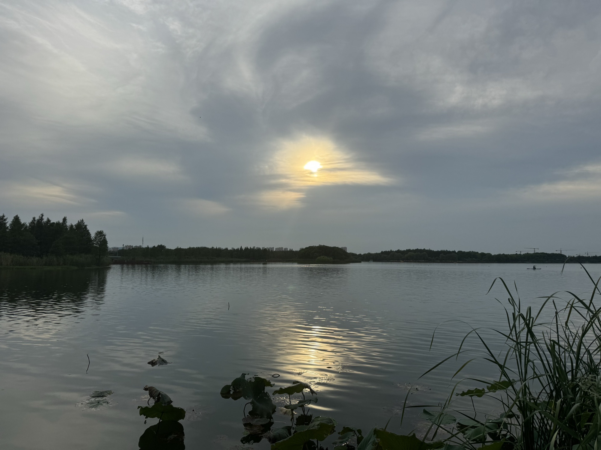 虎丘湿地公园旅行图片 3