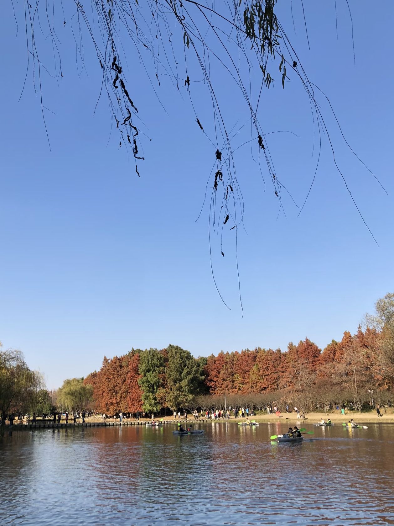 虎丘湿地公园旅行图片 3