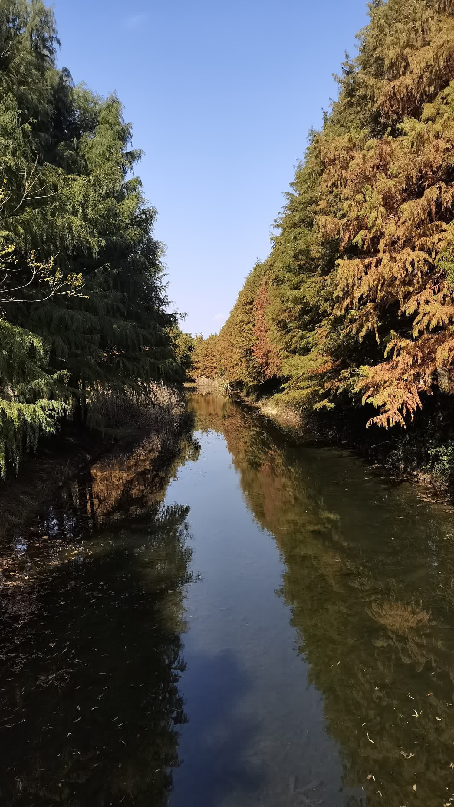 虎丘湿地公园旅行图片 1