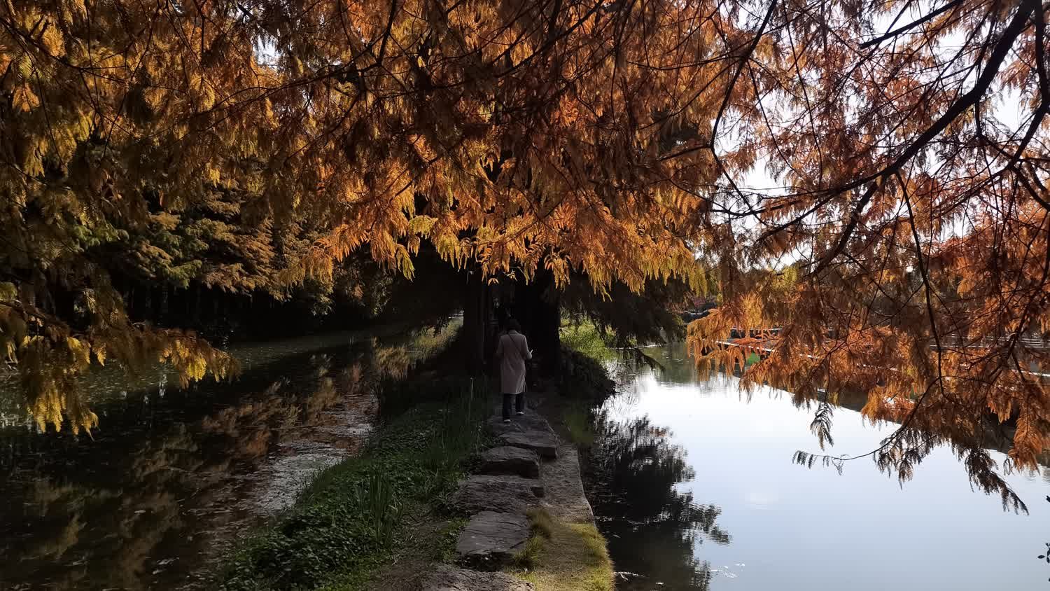 虎丘湿地公园旅行图片 2