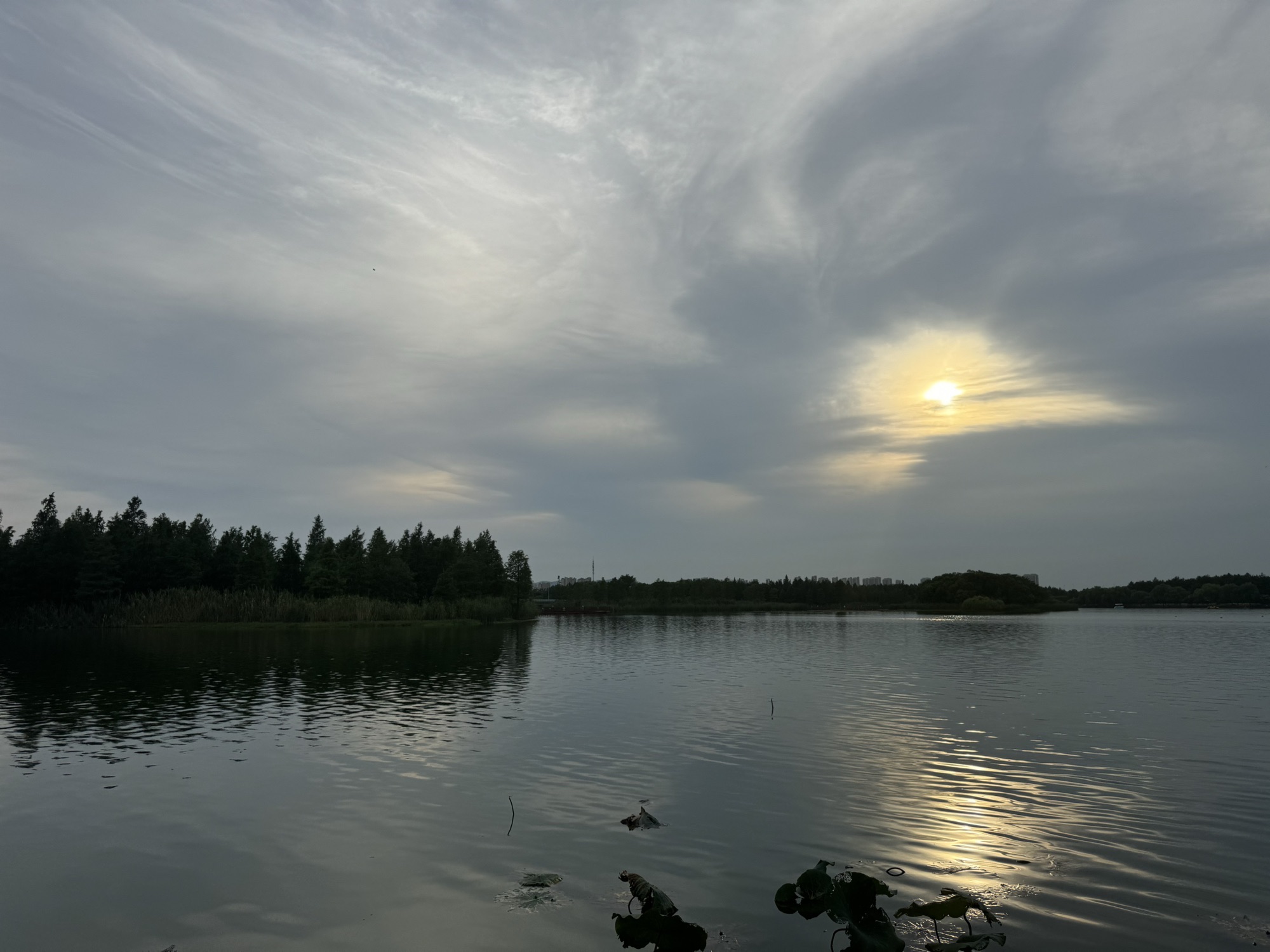 虎丘湿地公园旅行图片 1