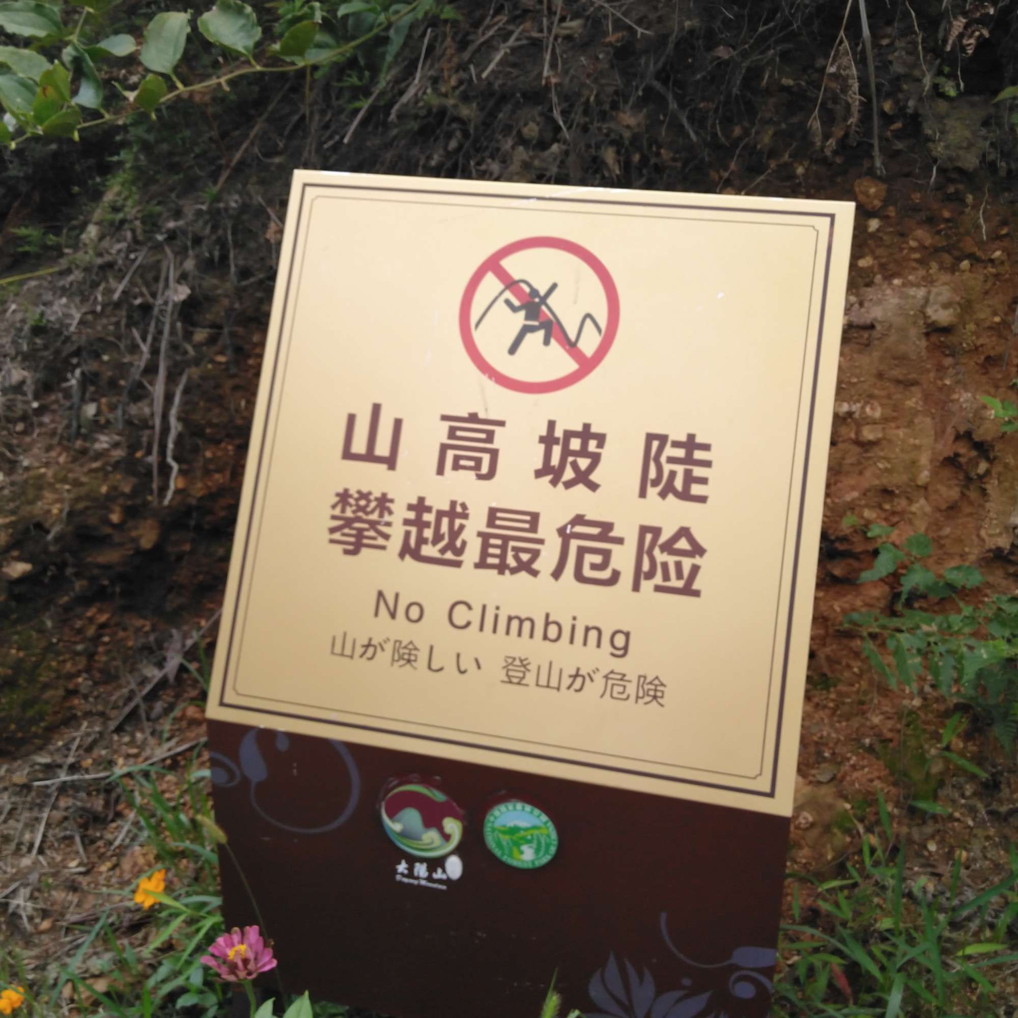 江苏大阳山国家森林公园旅行图片 3