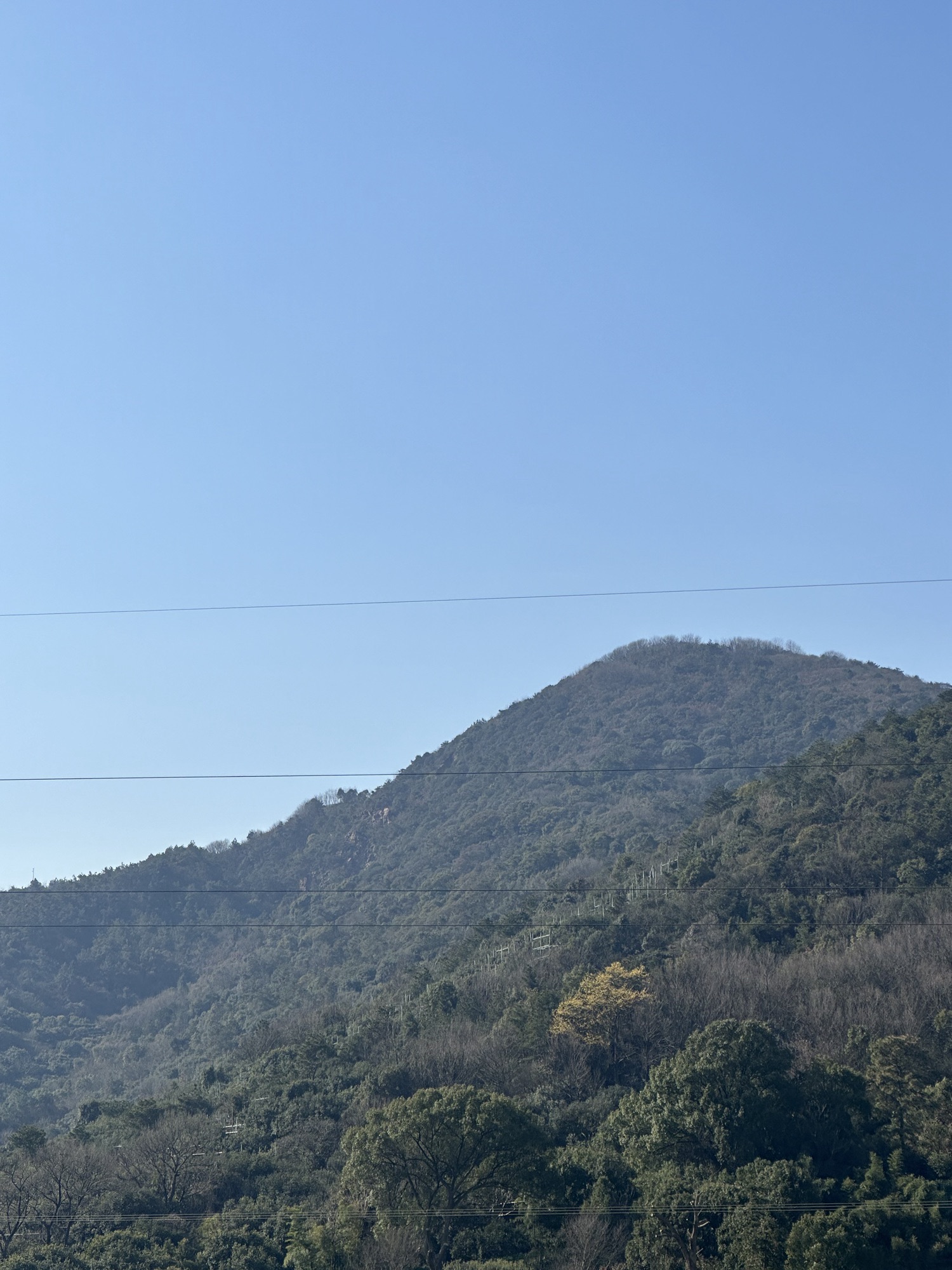 江苏大阳山国家森林公园旅行图片 1
