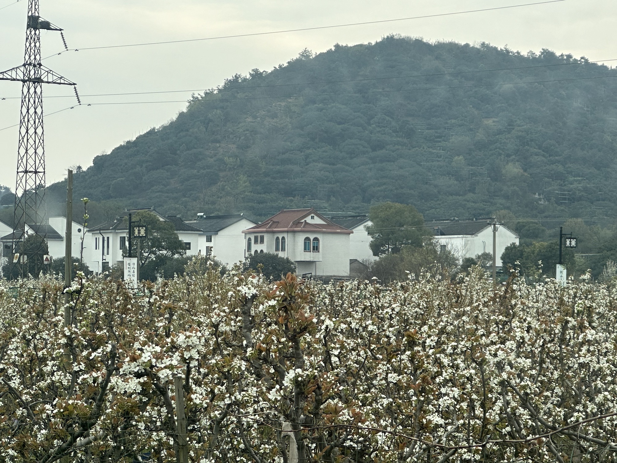 江苏大阳山国家森林公园旅行图片 2