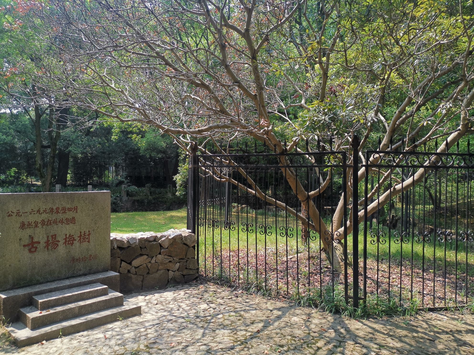 启园旅行图片 3