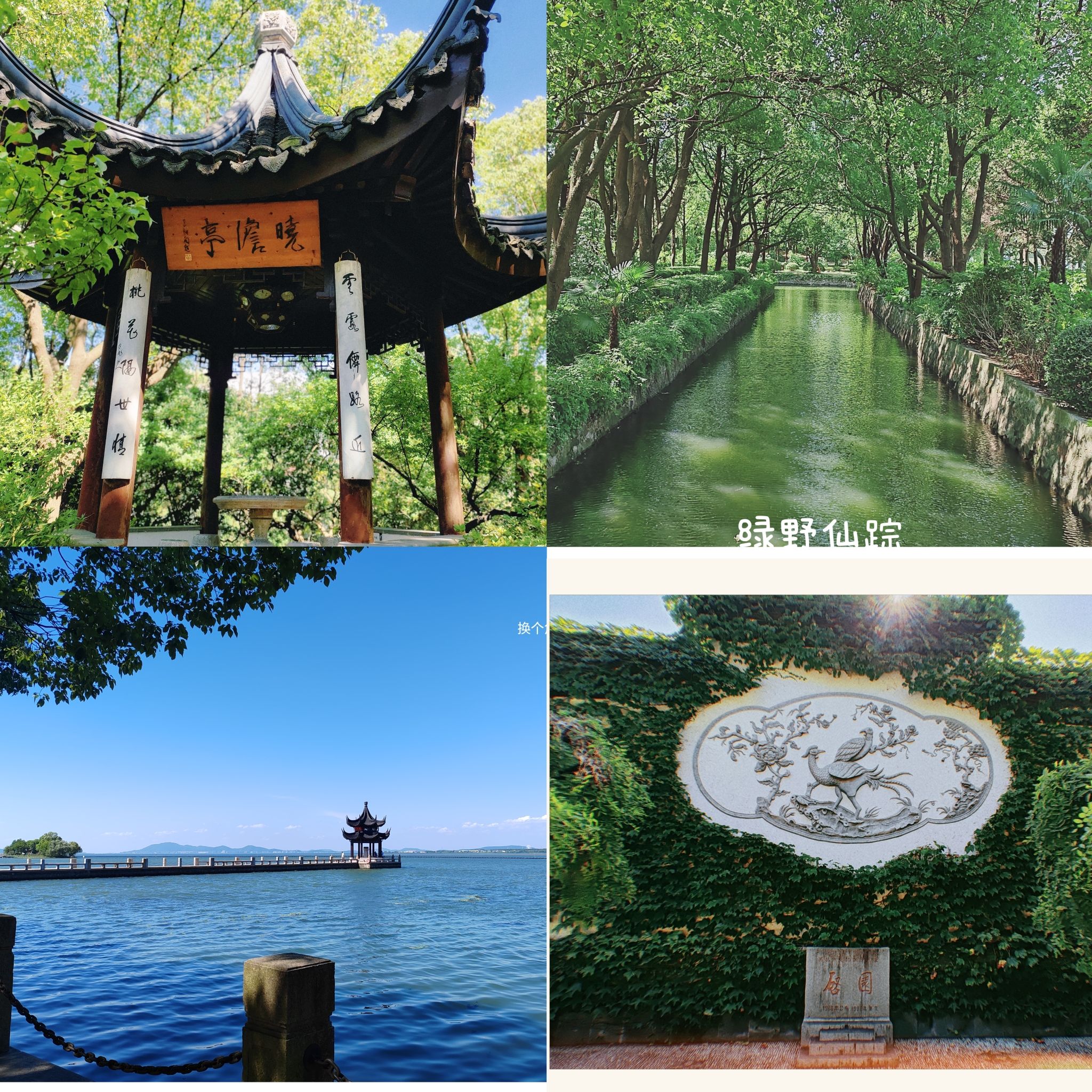 启园旅行图片 1