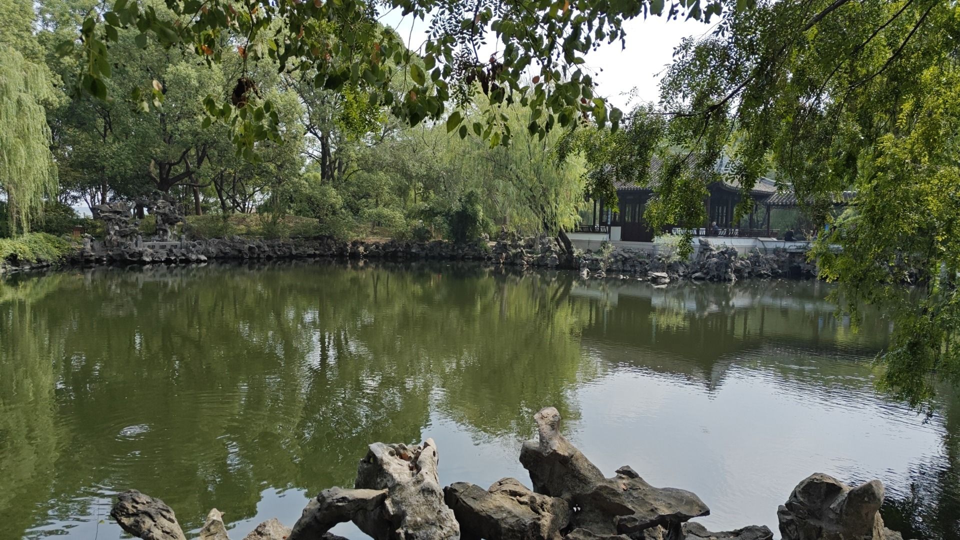 启园旅行图片 1