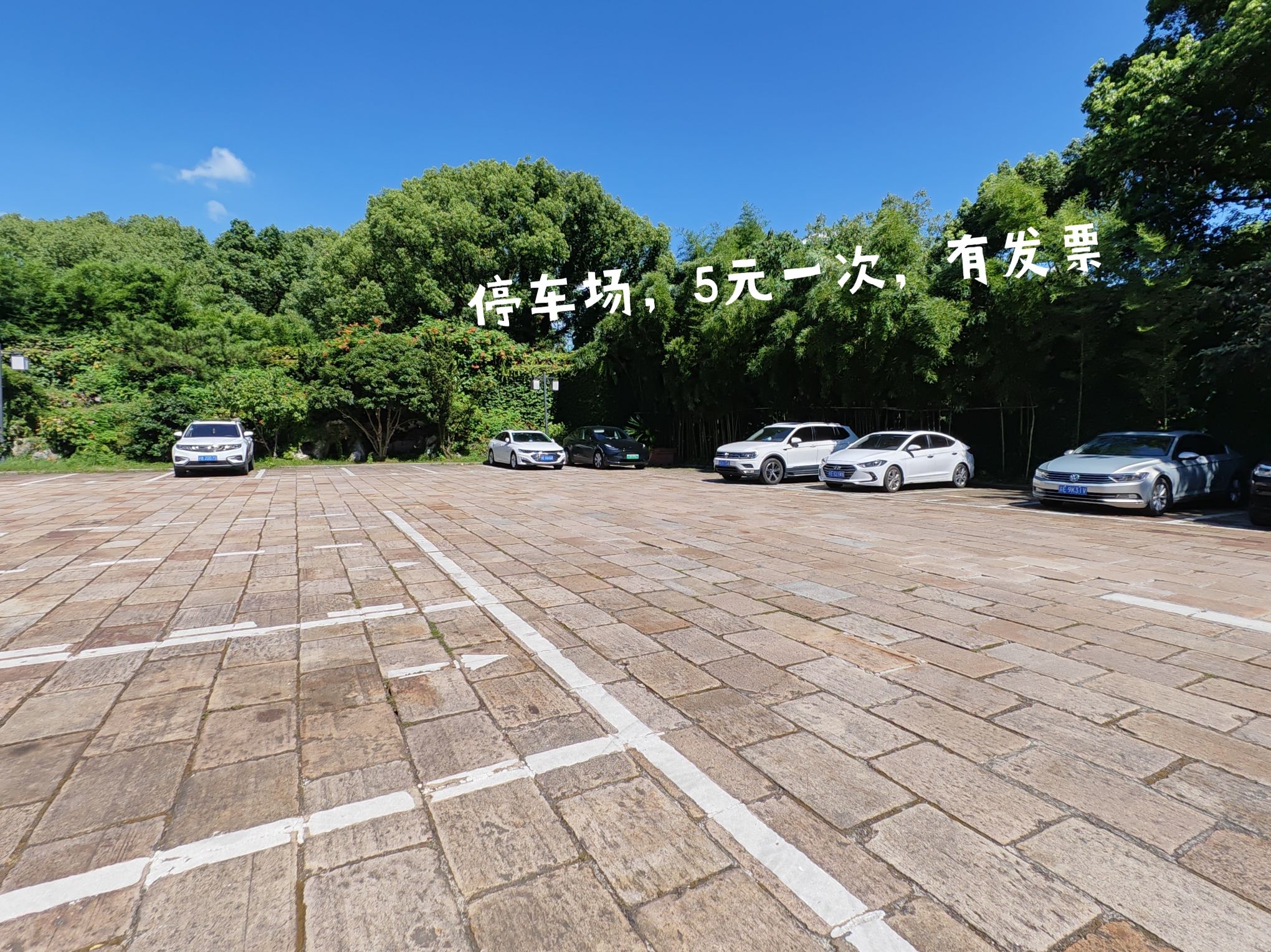启园旅行图片 2