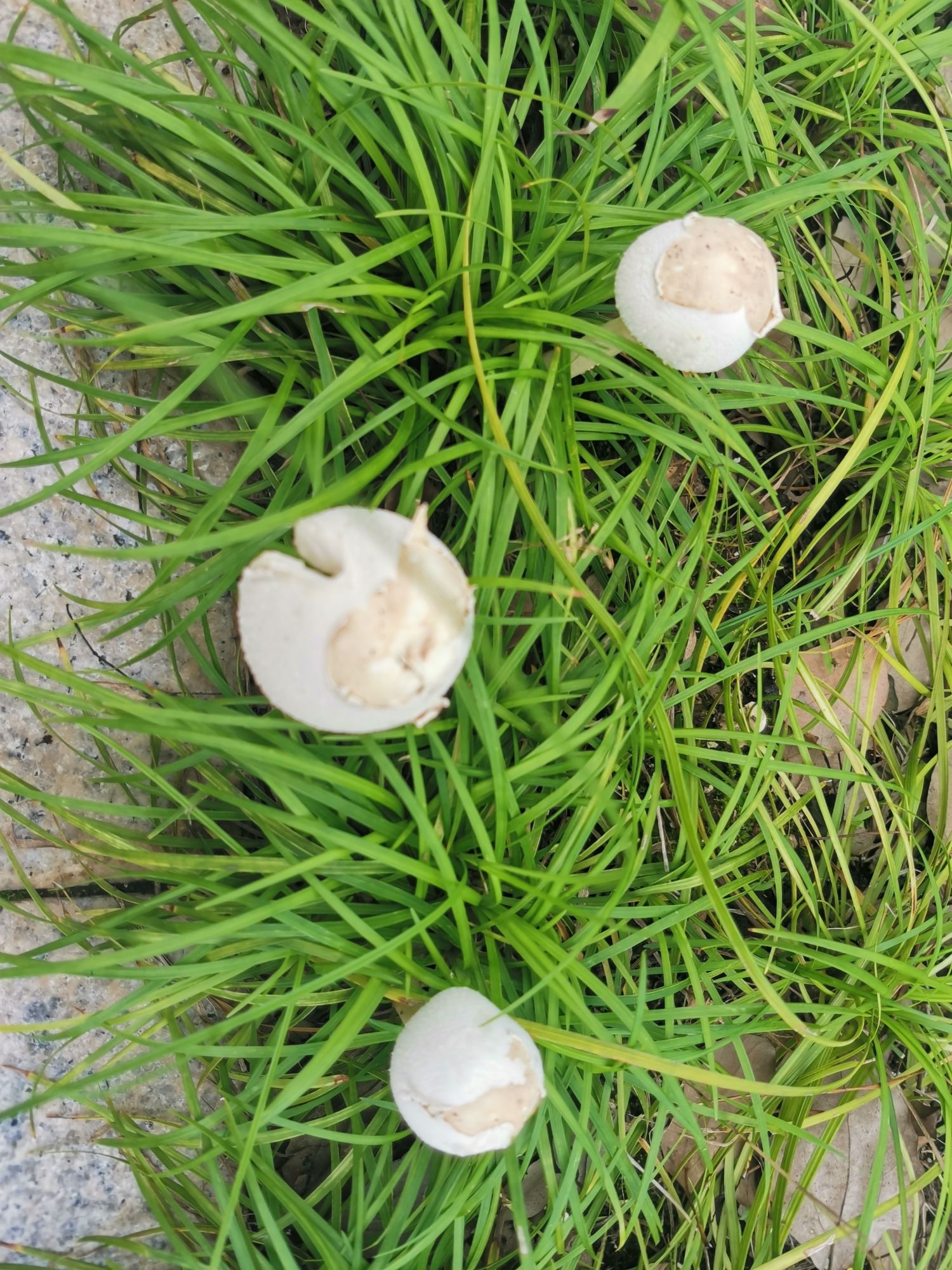 滨河公园旅行图片 1