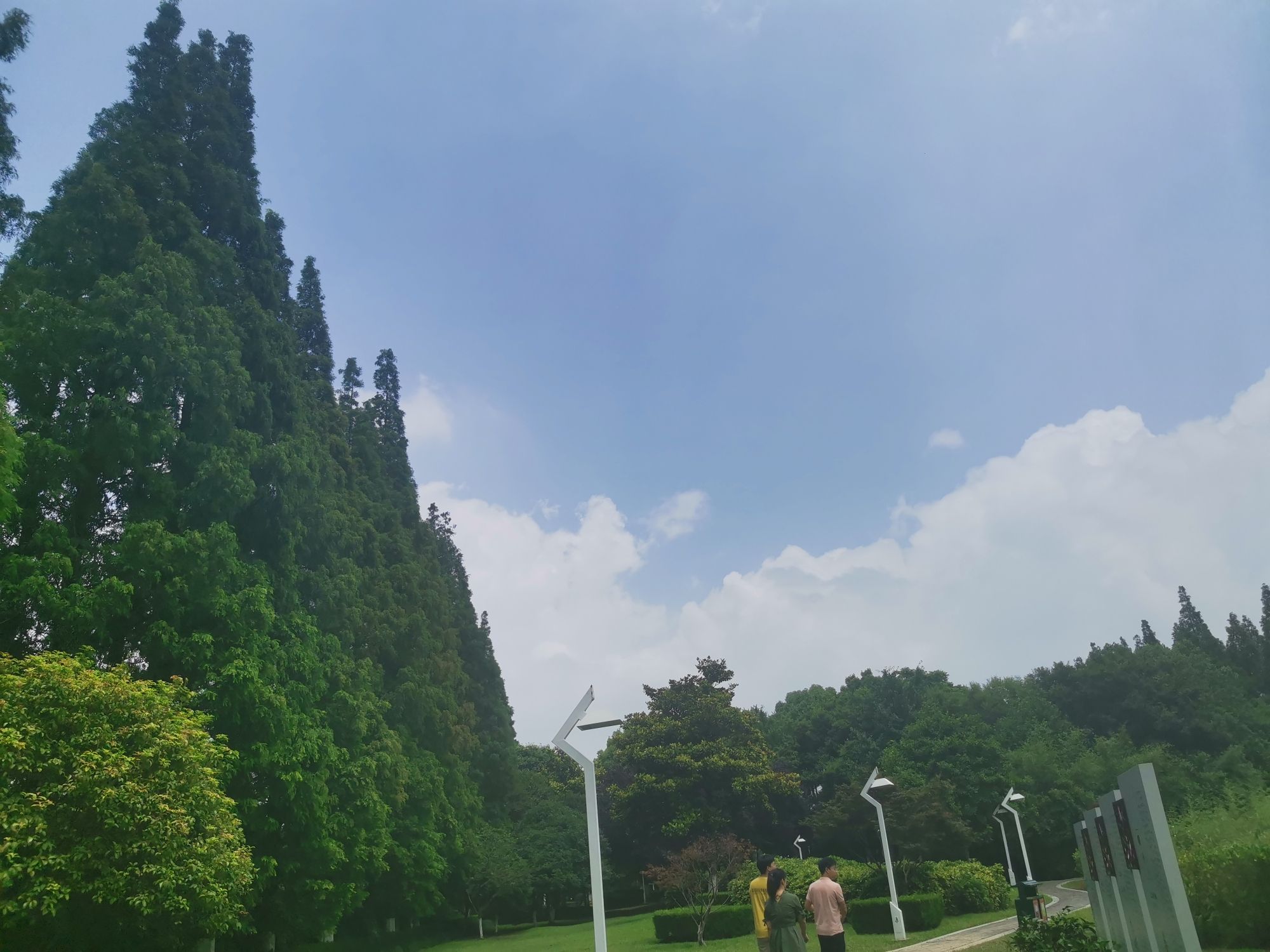 滨河公园旅行图片 2