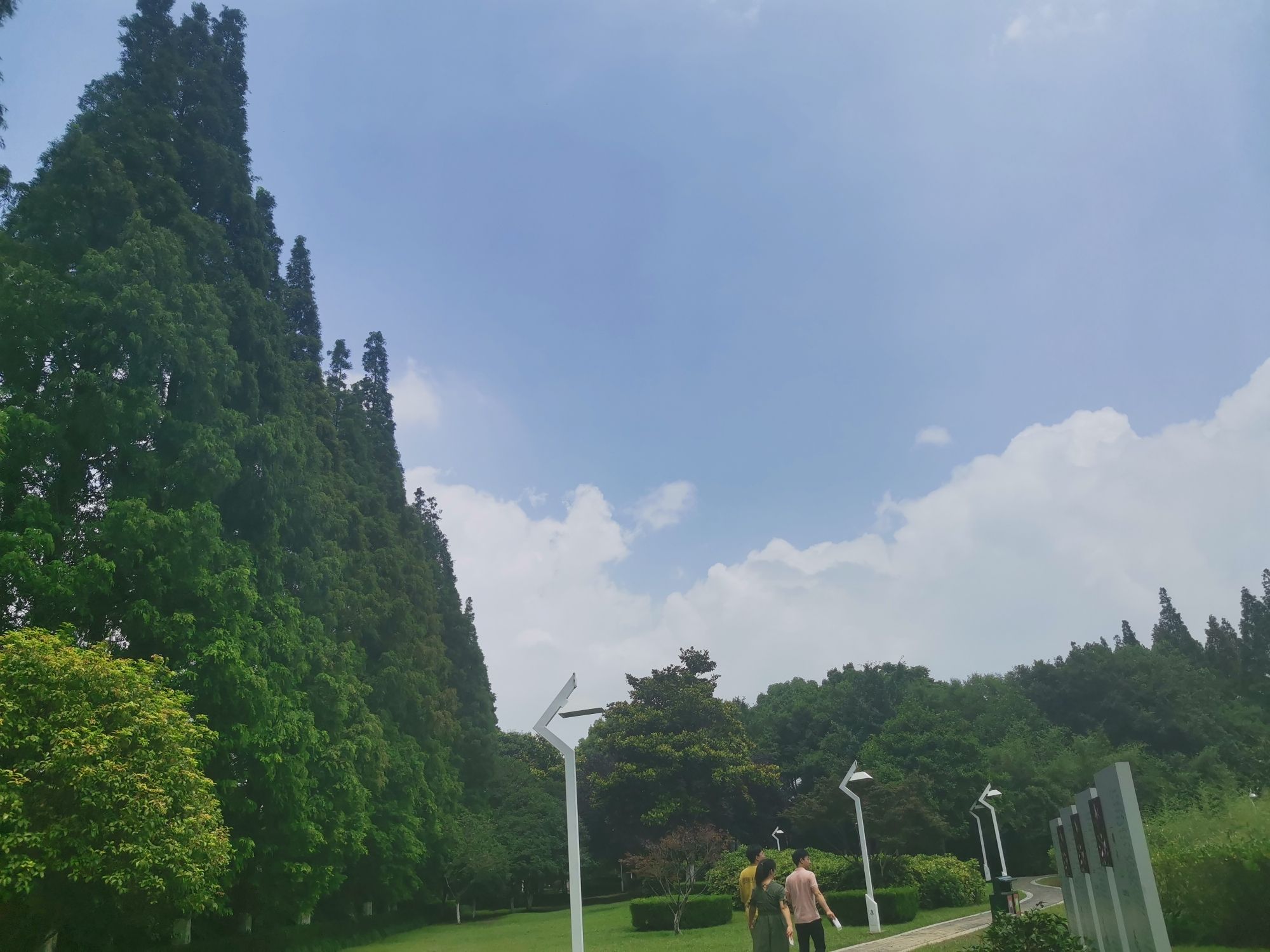 滨河公园旅行图片 3