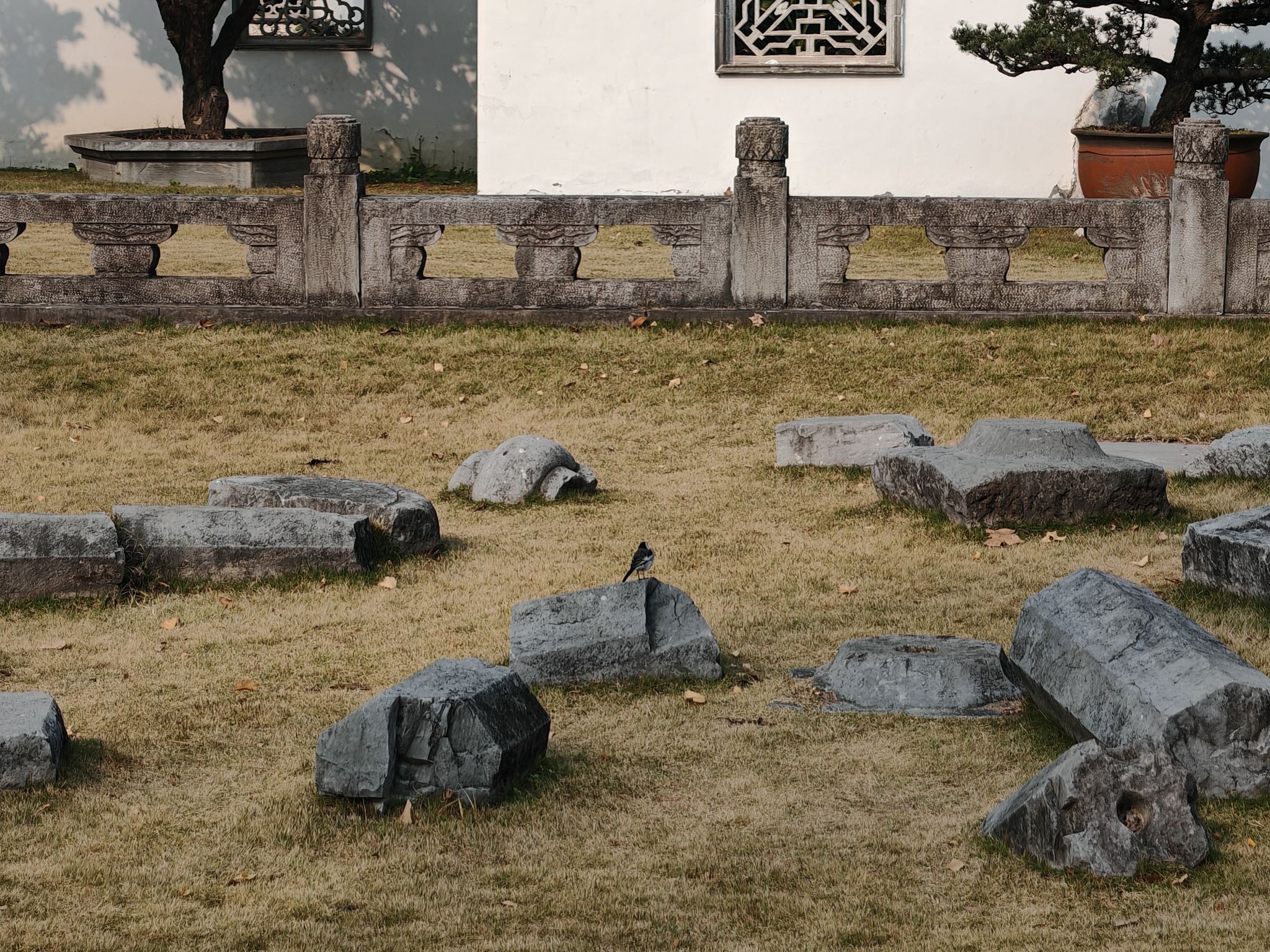 弇山园旅行图片 2