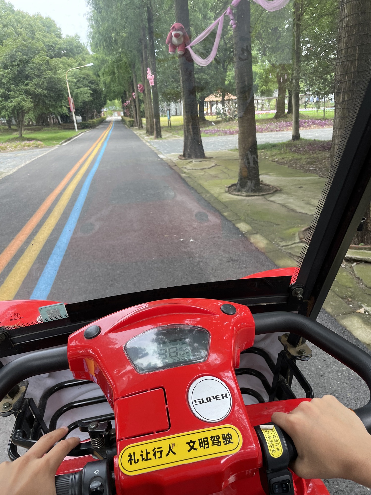 蒋巷生态园旅行图片 1