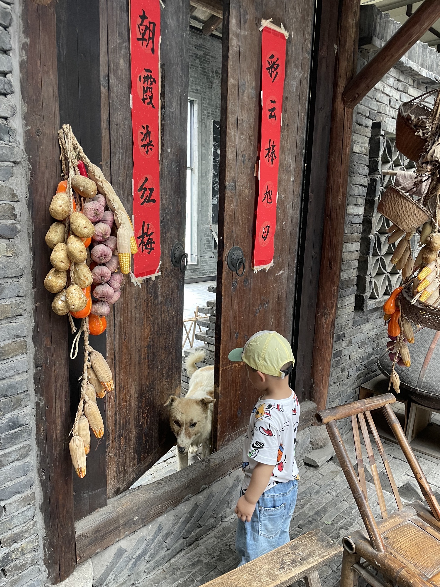 蒋巷生态园旅行图片 2