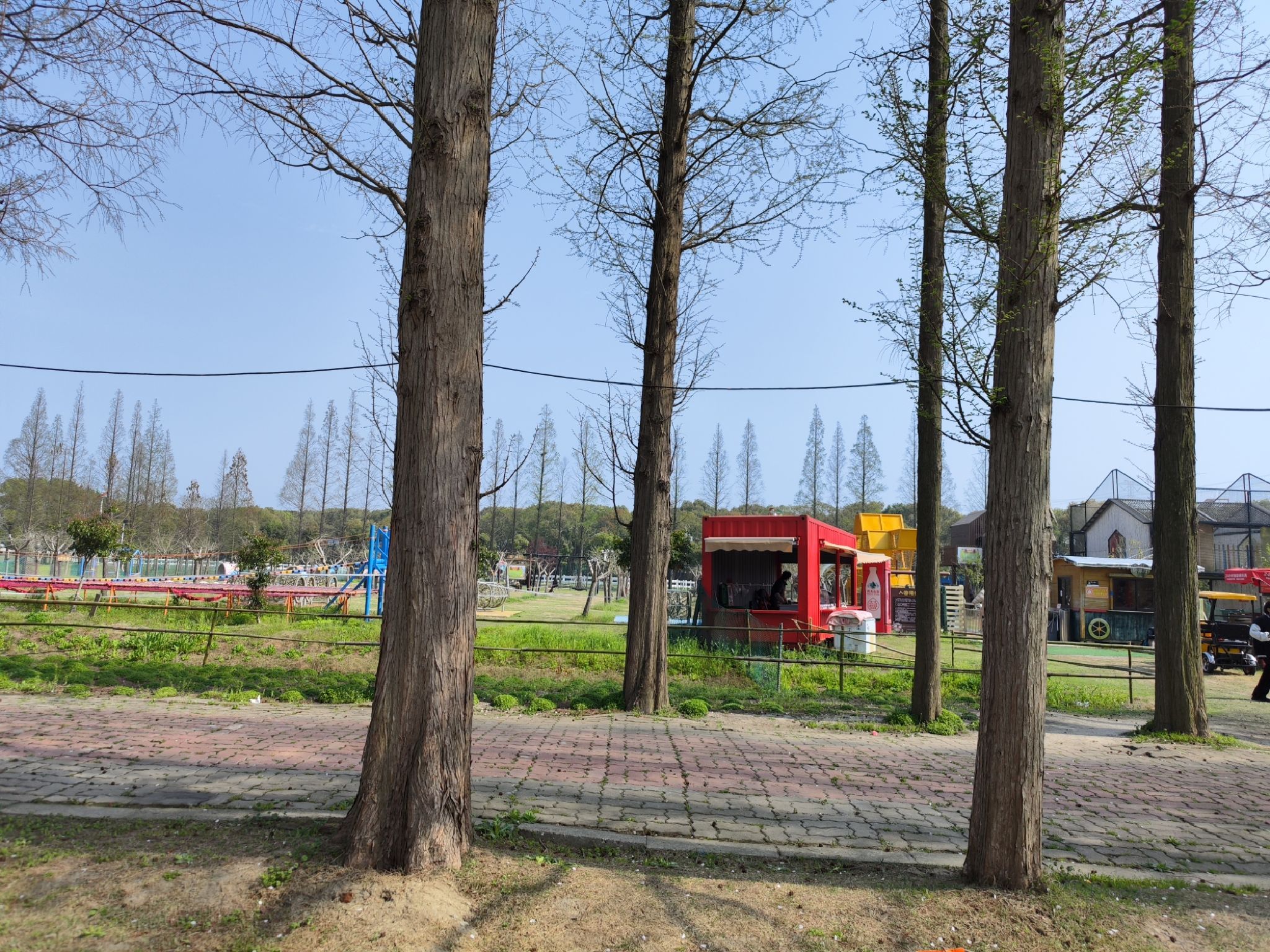 蒋巷生态园旅行图片 3