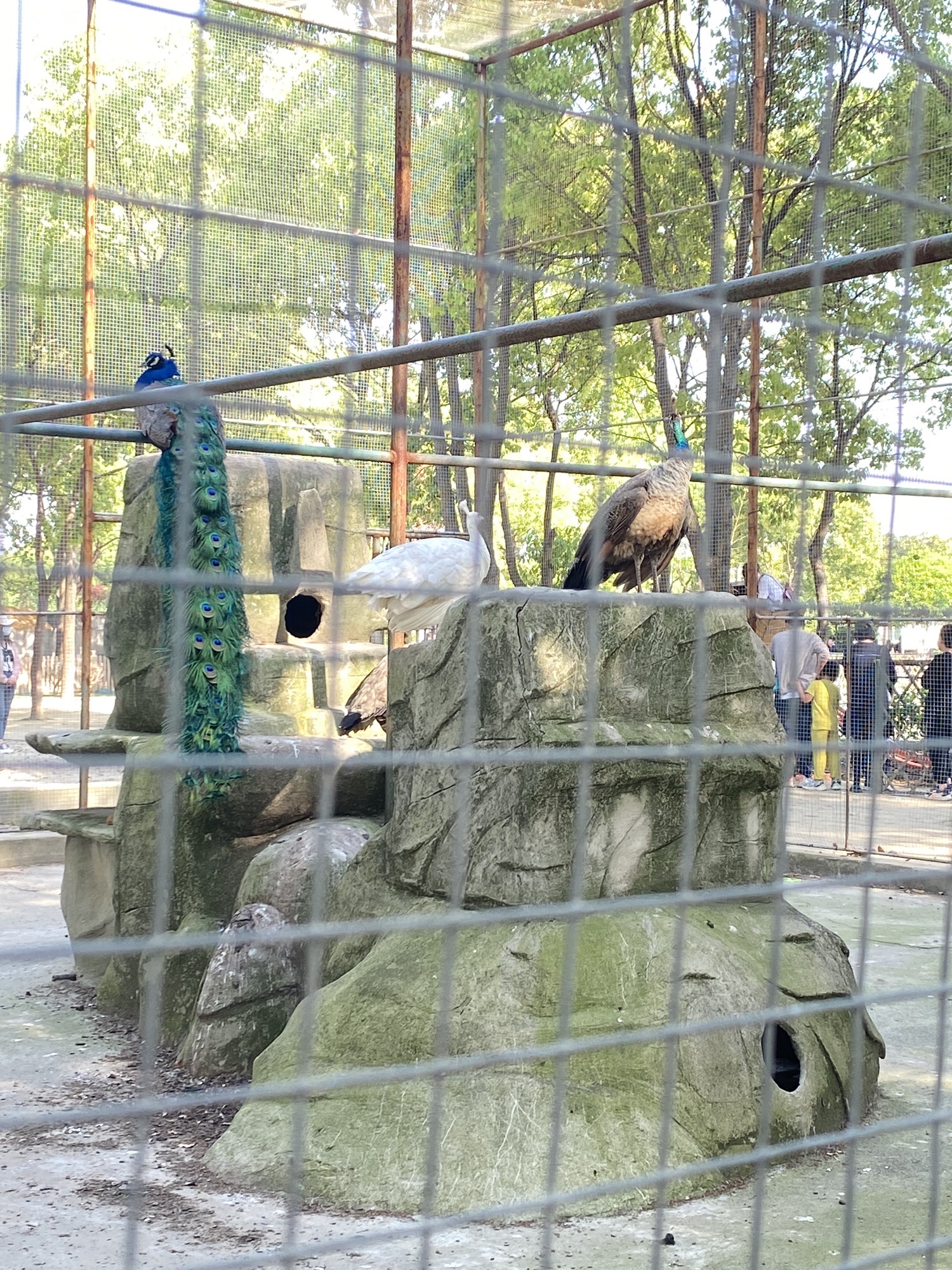 鳄鱼谷旅行图片 2