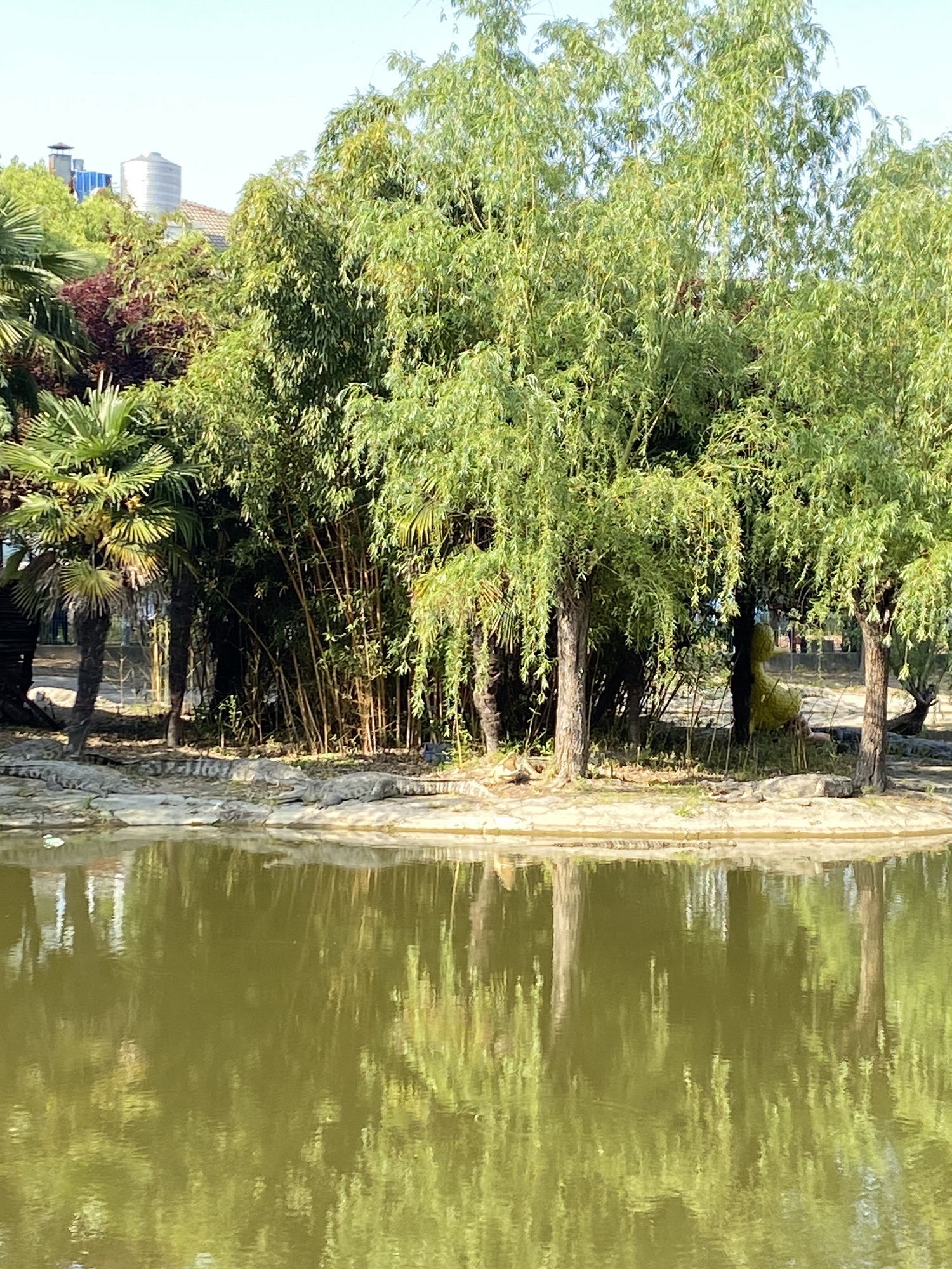 鳄鱼谷旅行图片 3