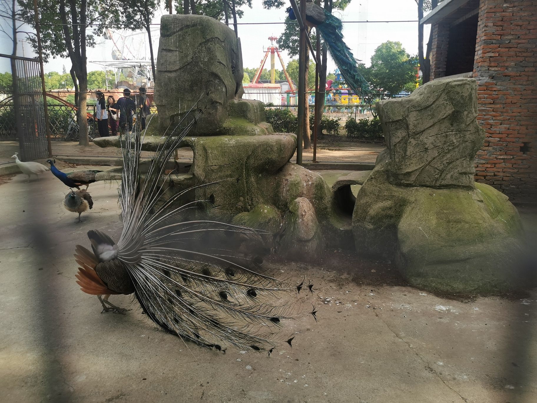 鳄鱼谷旅行图片 1