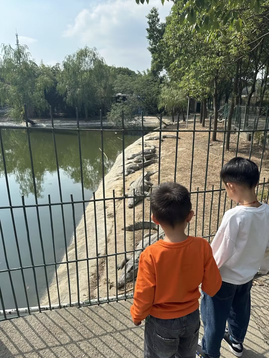 鳄鱼谷旅行图片 3