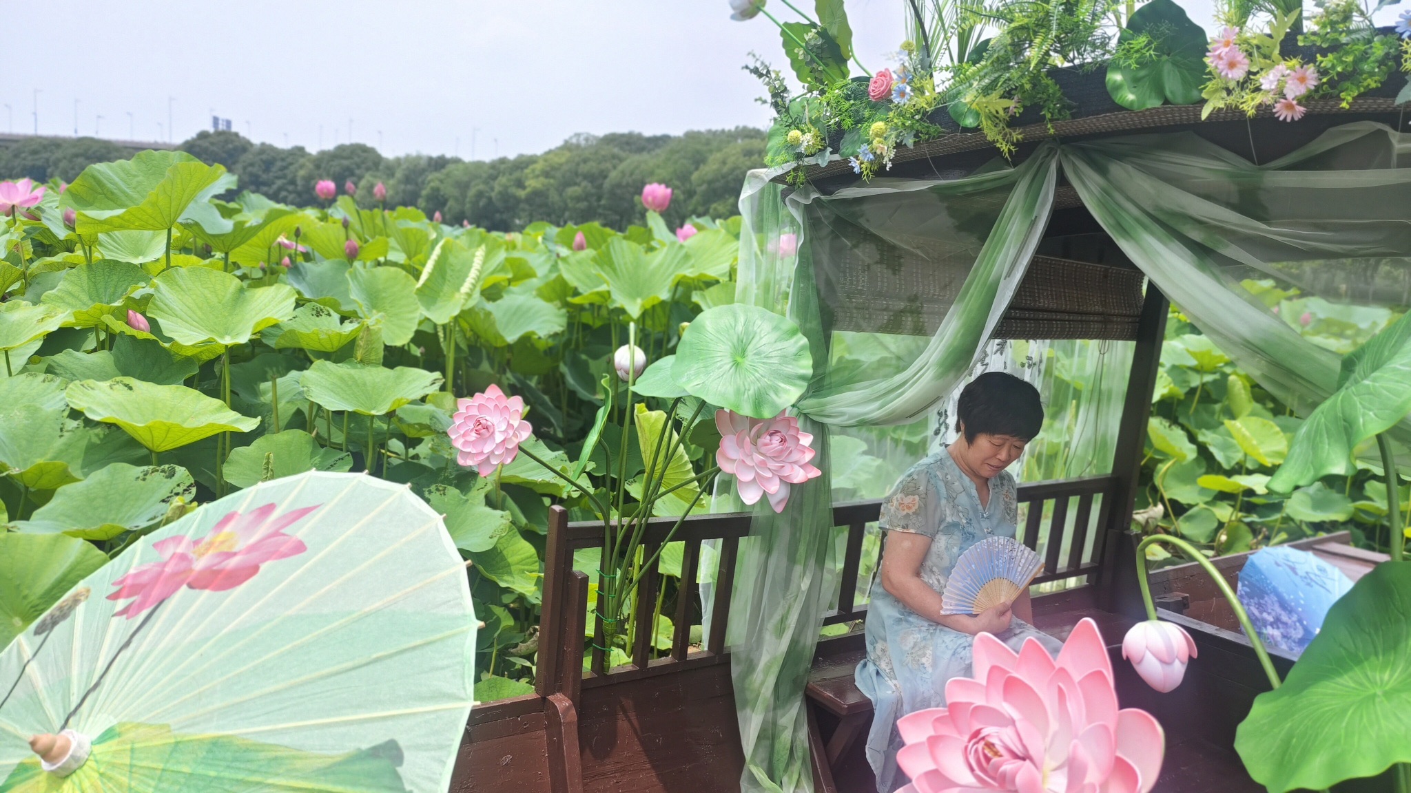 荷塘月色湿地公园旅行图片 3