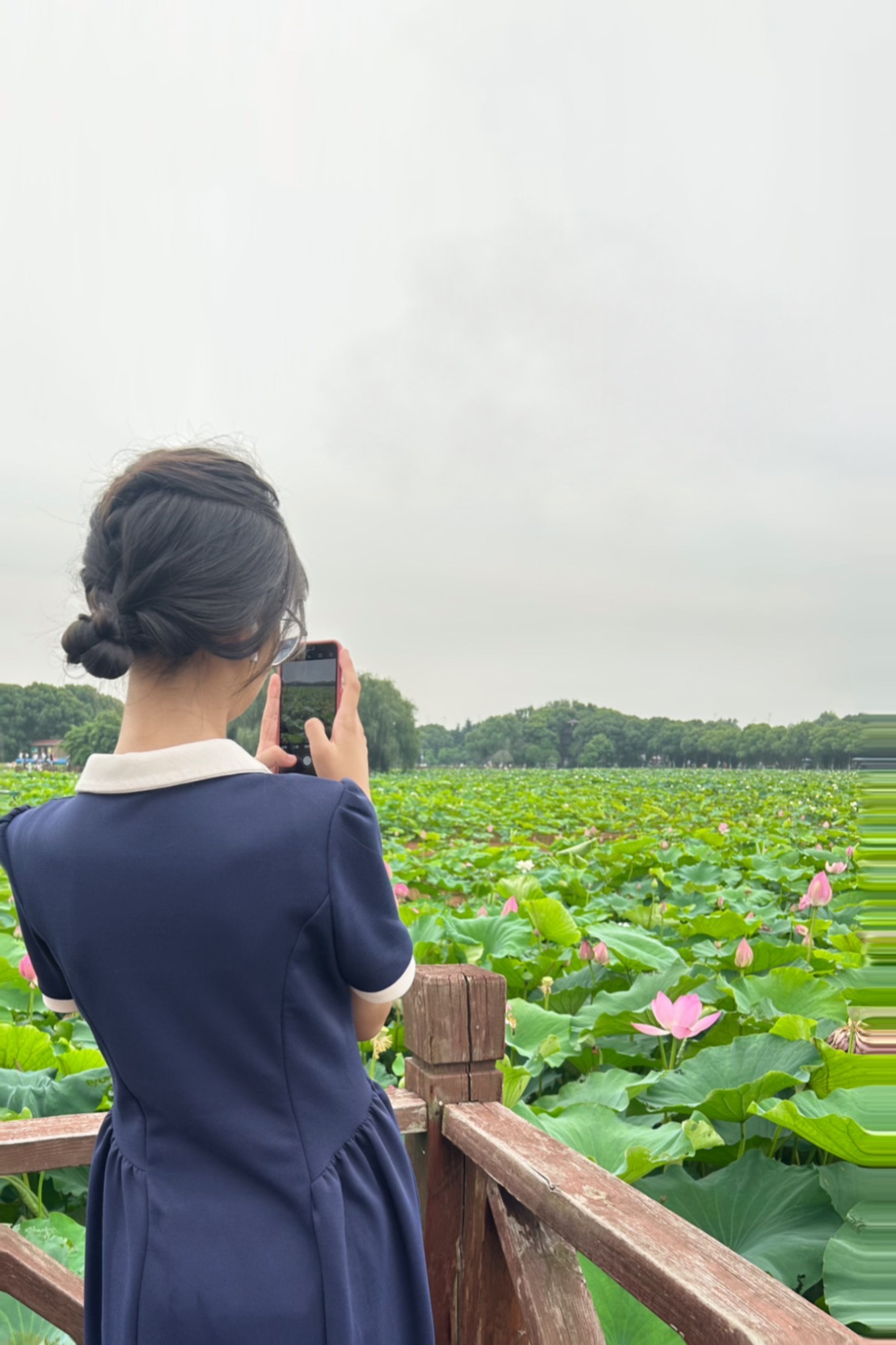 荷塘月色湿地公园旅行图片 2