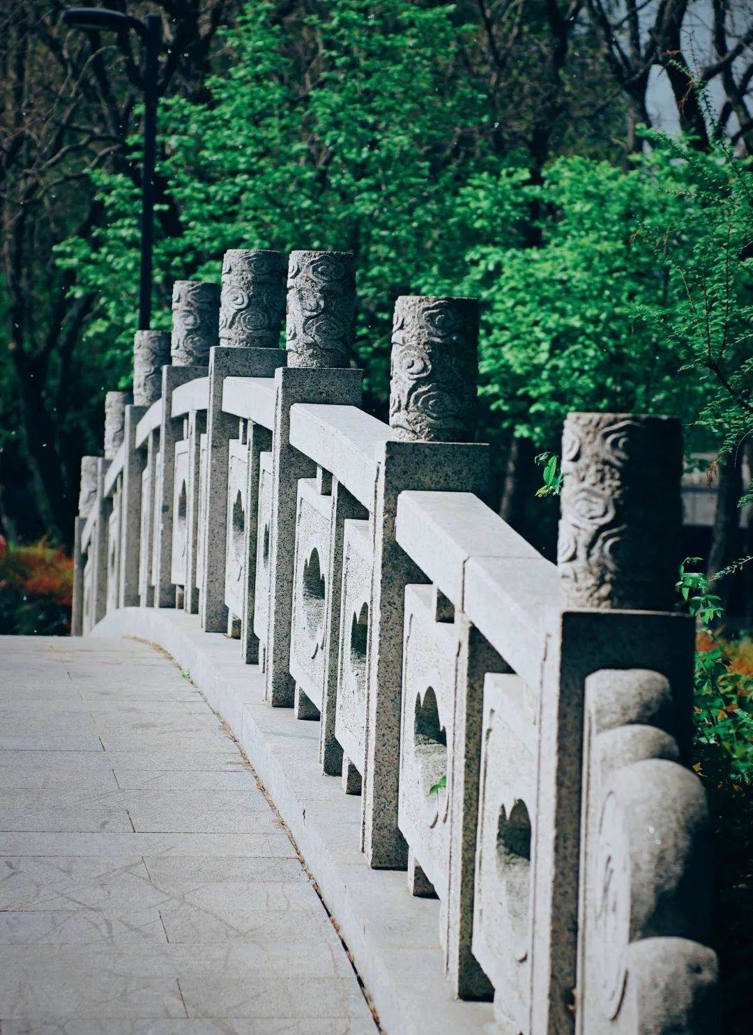 白洋湾公园旅行图片 2