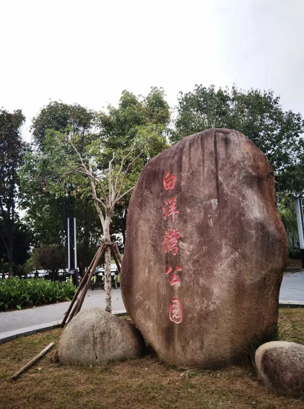 白洋湾公园旅行图片 1