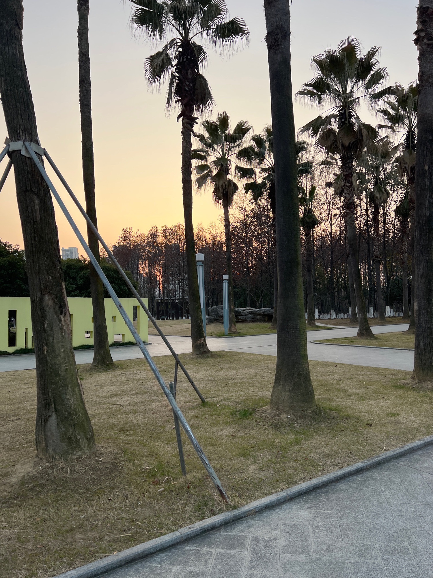 方洲公园旅行图片 2