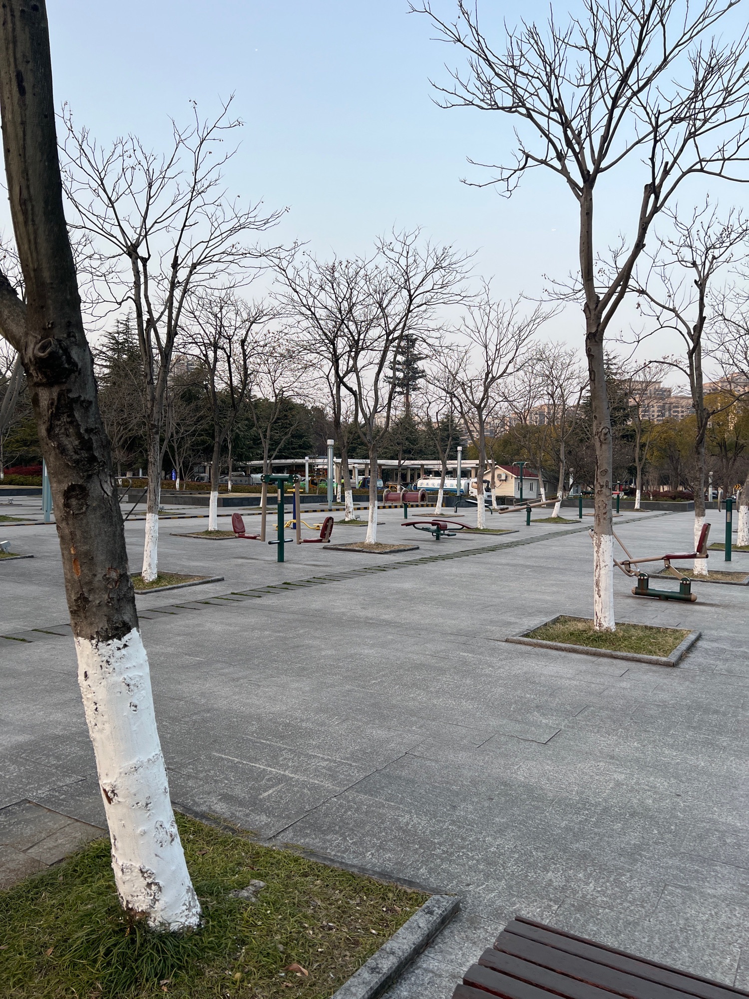 方洲公园旅行图片 1