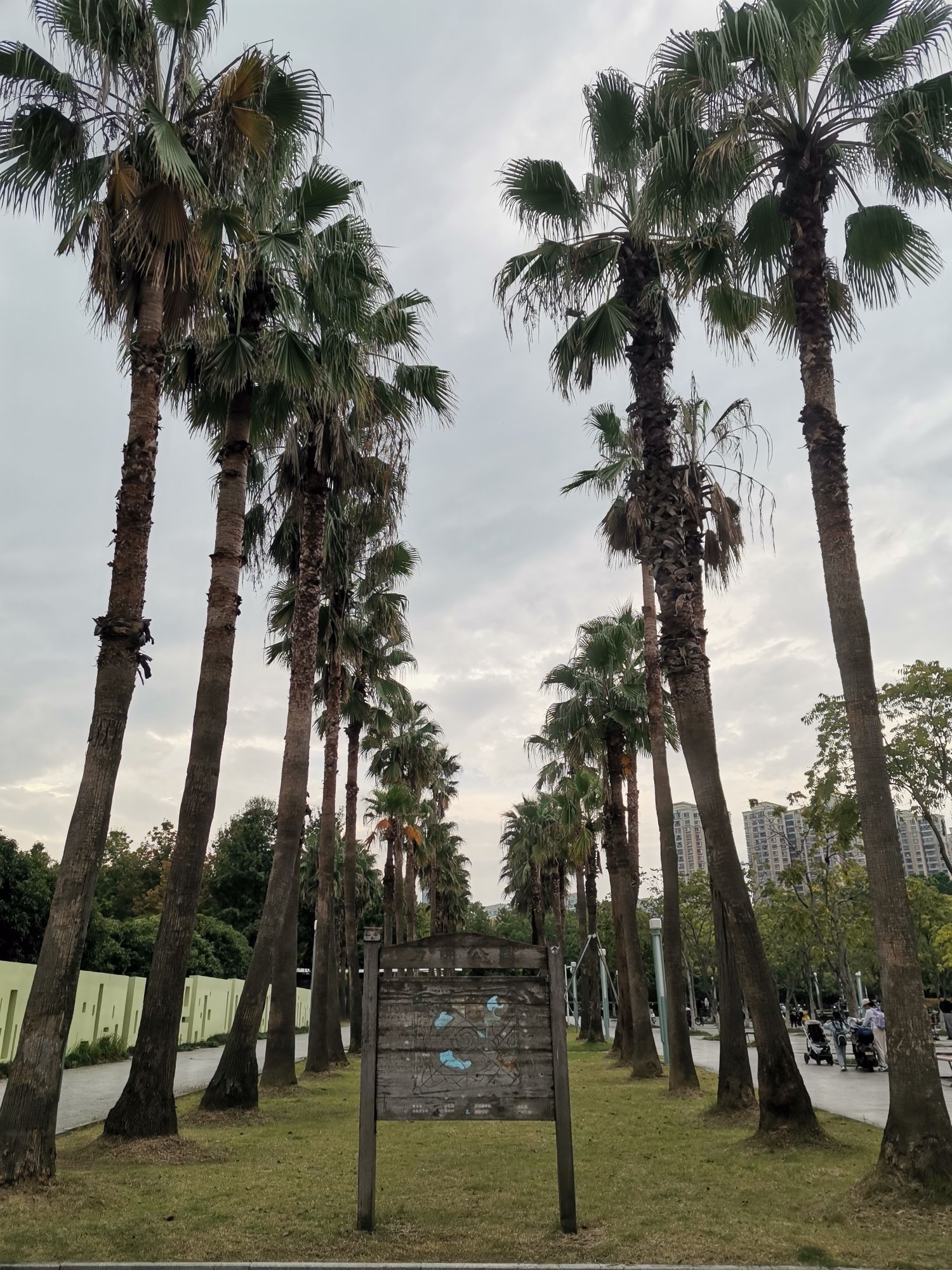 方洲公园旅行图片 1