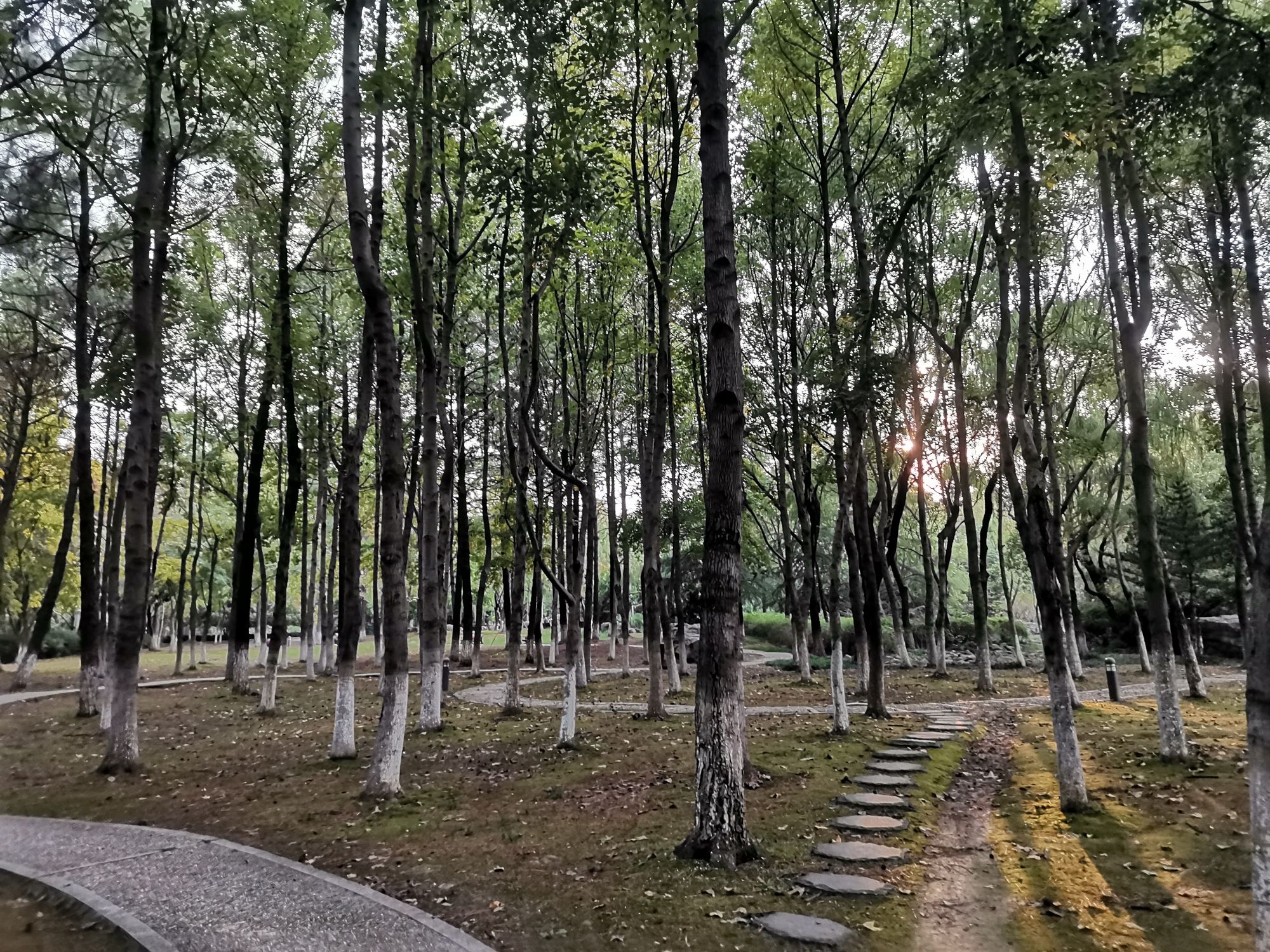 方洲公园旅行图片 2