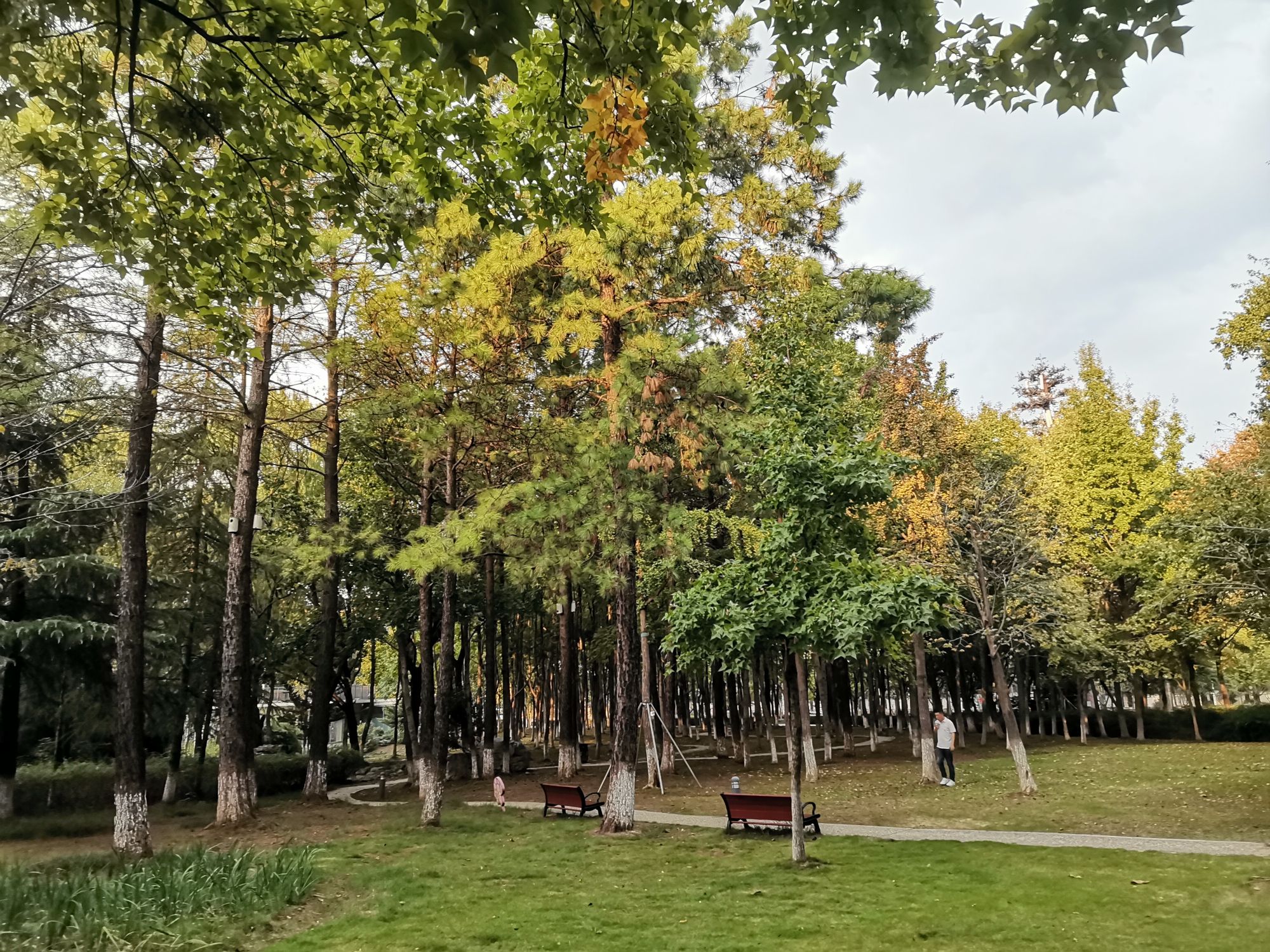 方洲公园旅行图片 3