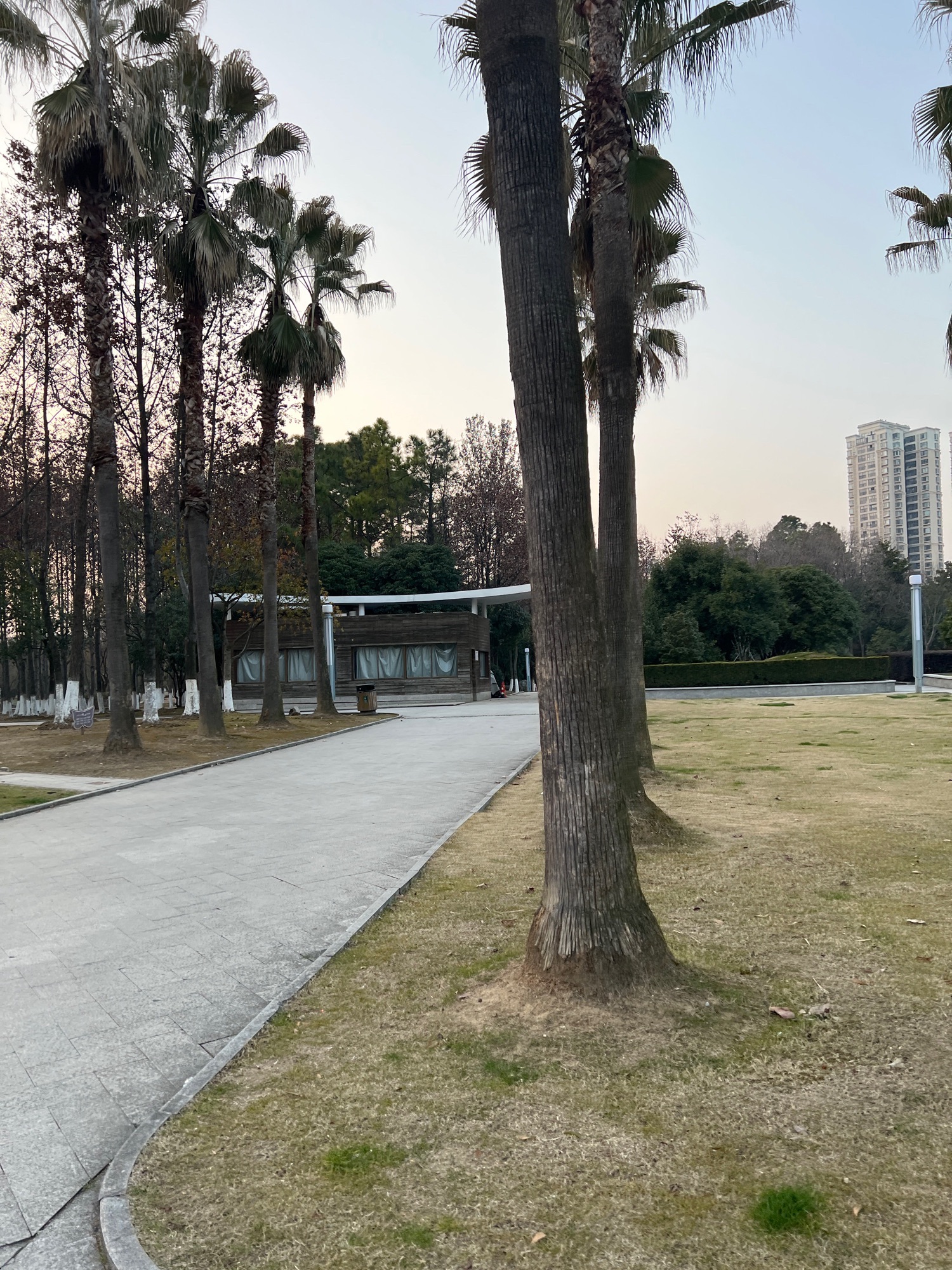 方洲公园旅行图片 3