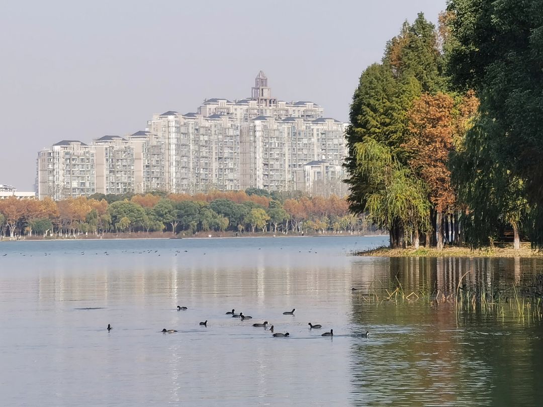 暨阳湖国家生态公园旅行图片 2