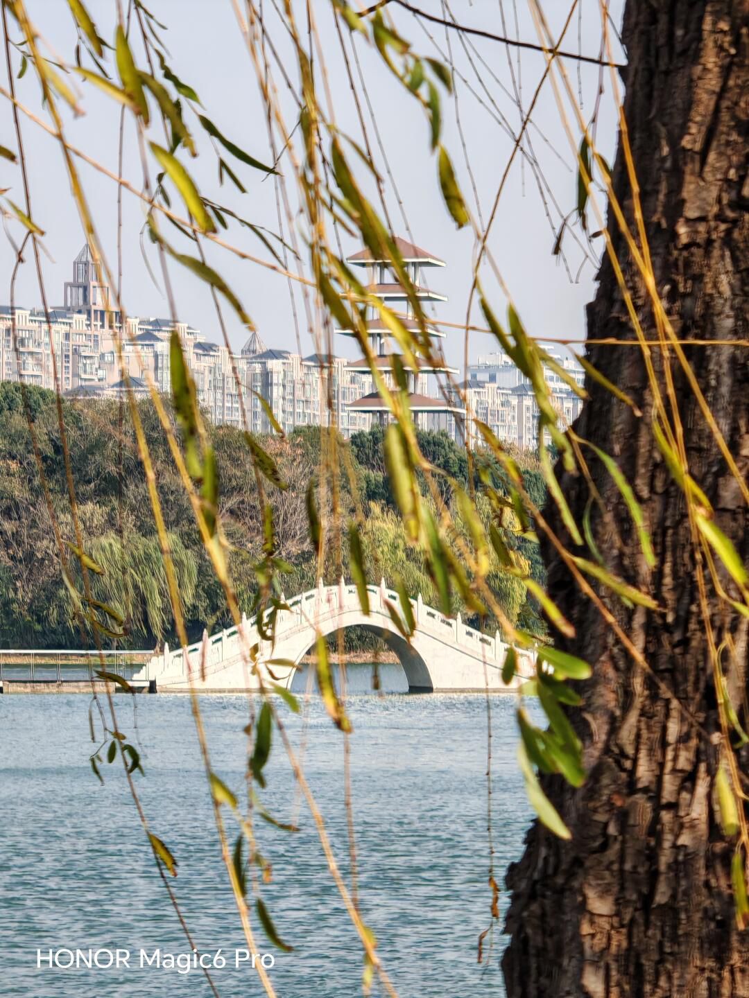 暨阳湖国家生态公园旅行图片 3