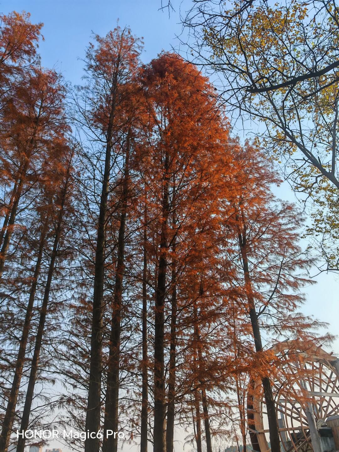 暨阳湖国家生态公园旅行图片 2
