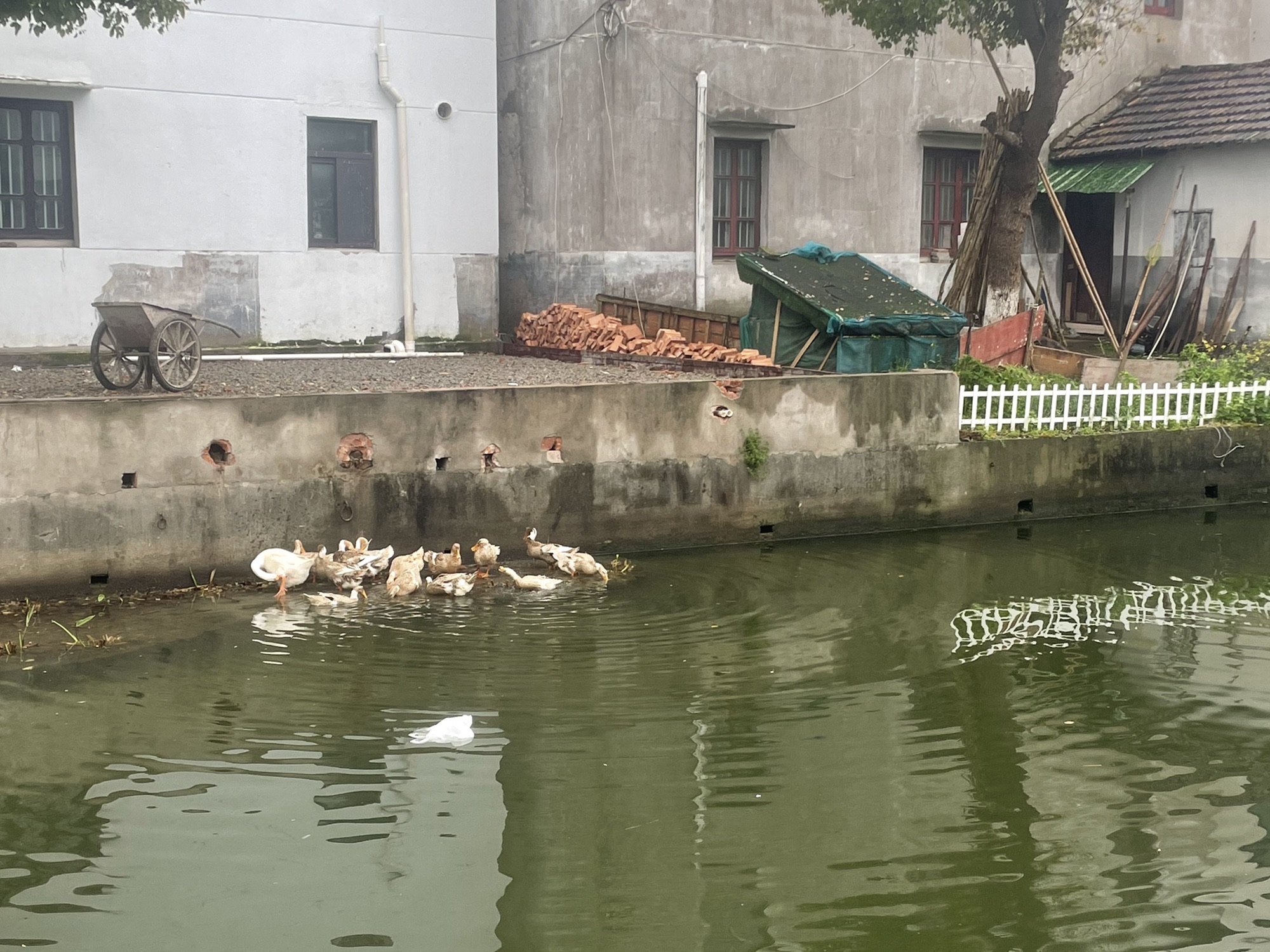 锦溪古镇旅行图片 1