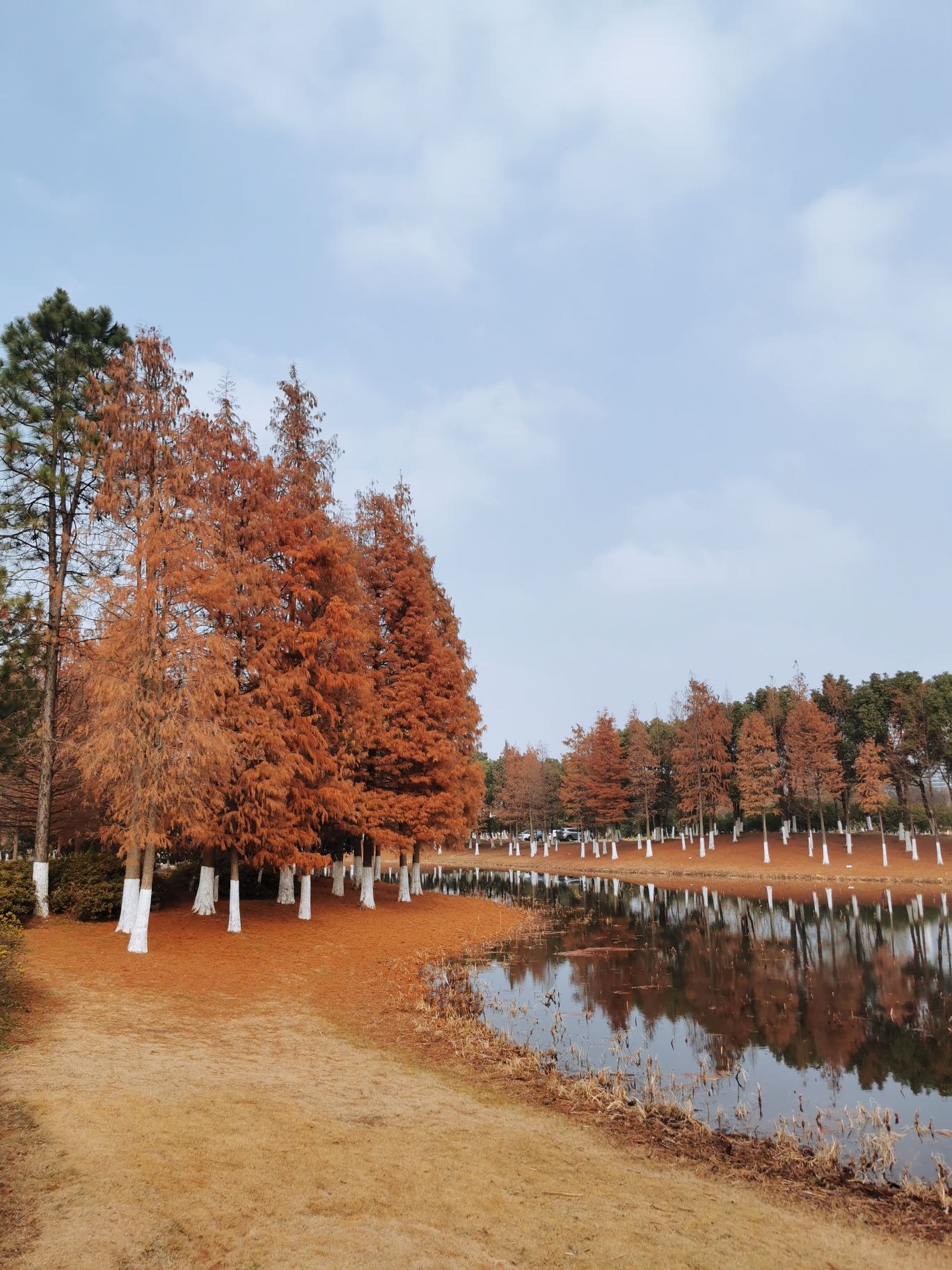 昆承湖景区旅行图片 1