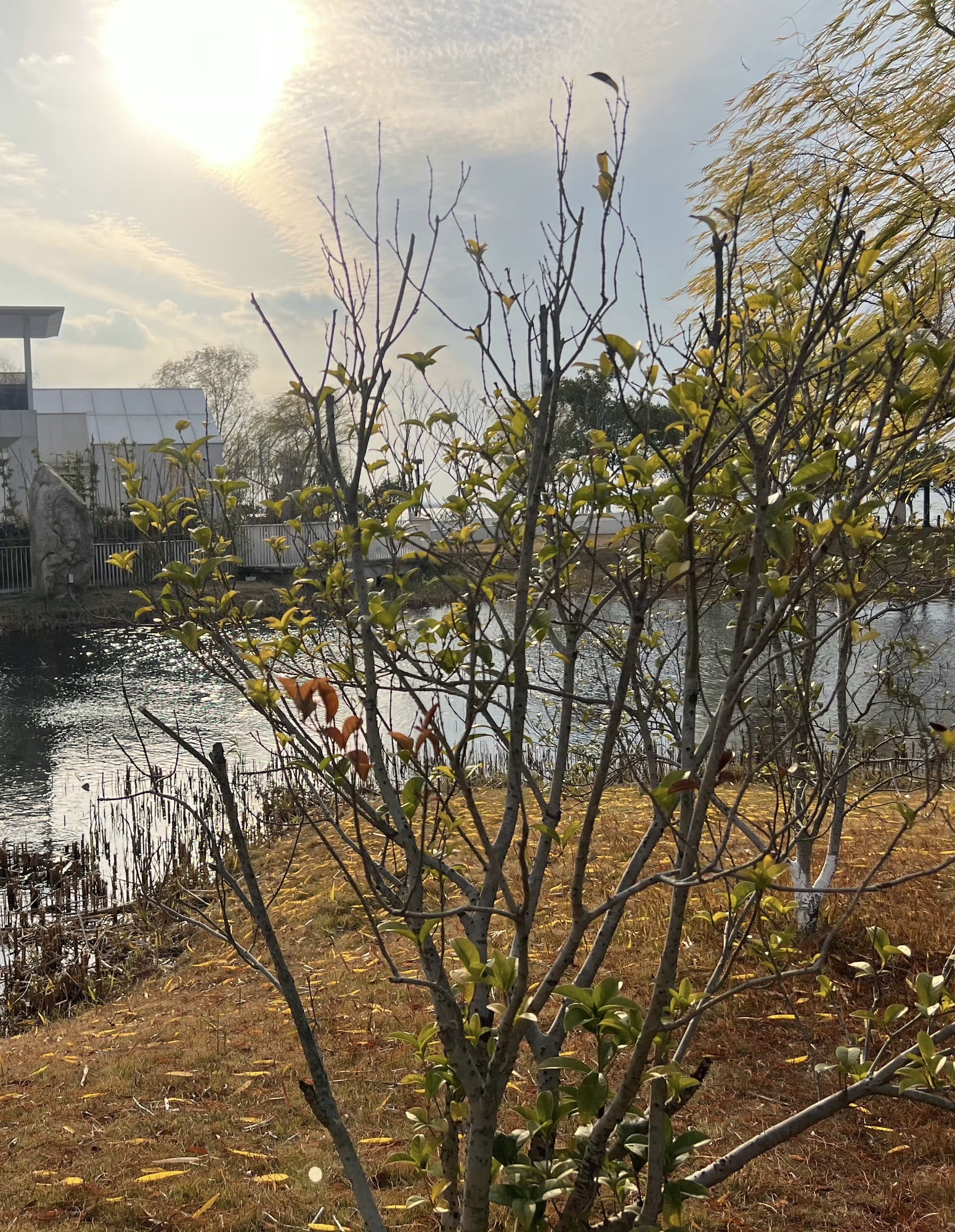 昆承湖景区旅行图片 3