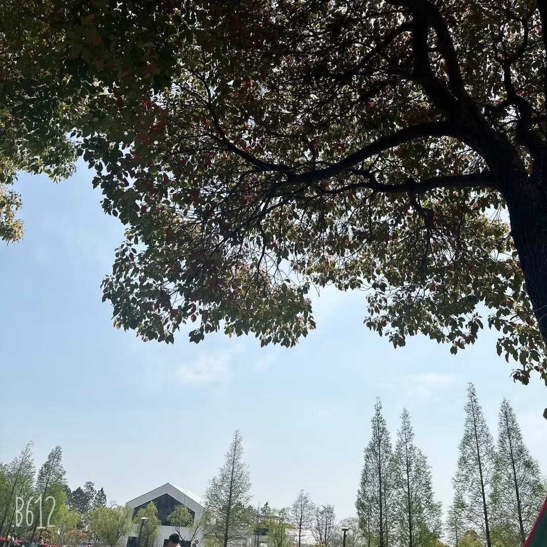 昆承湖景区旅行图片 3