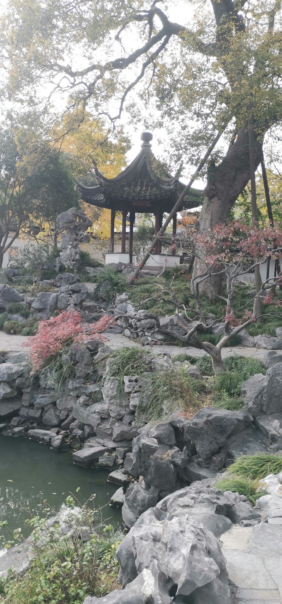 五峰园旅行图片 1