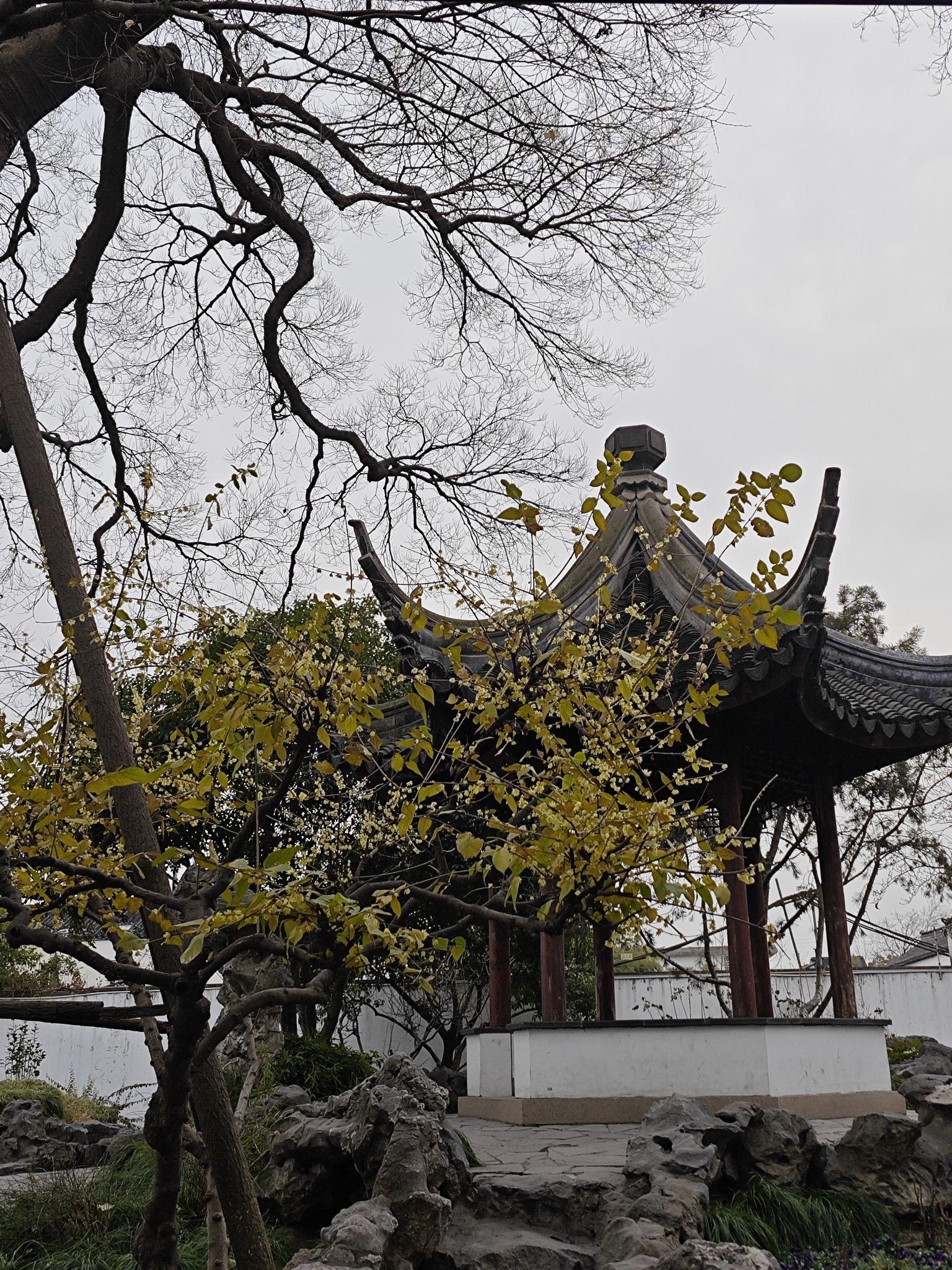 五峰园旅行图片 3