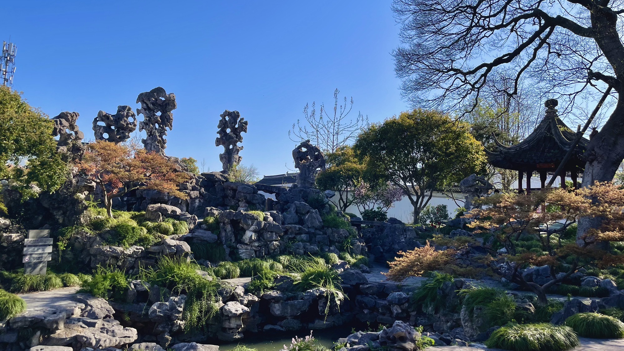 五峰园旅行图片 3