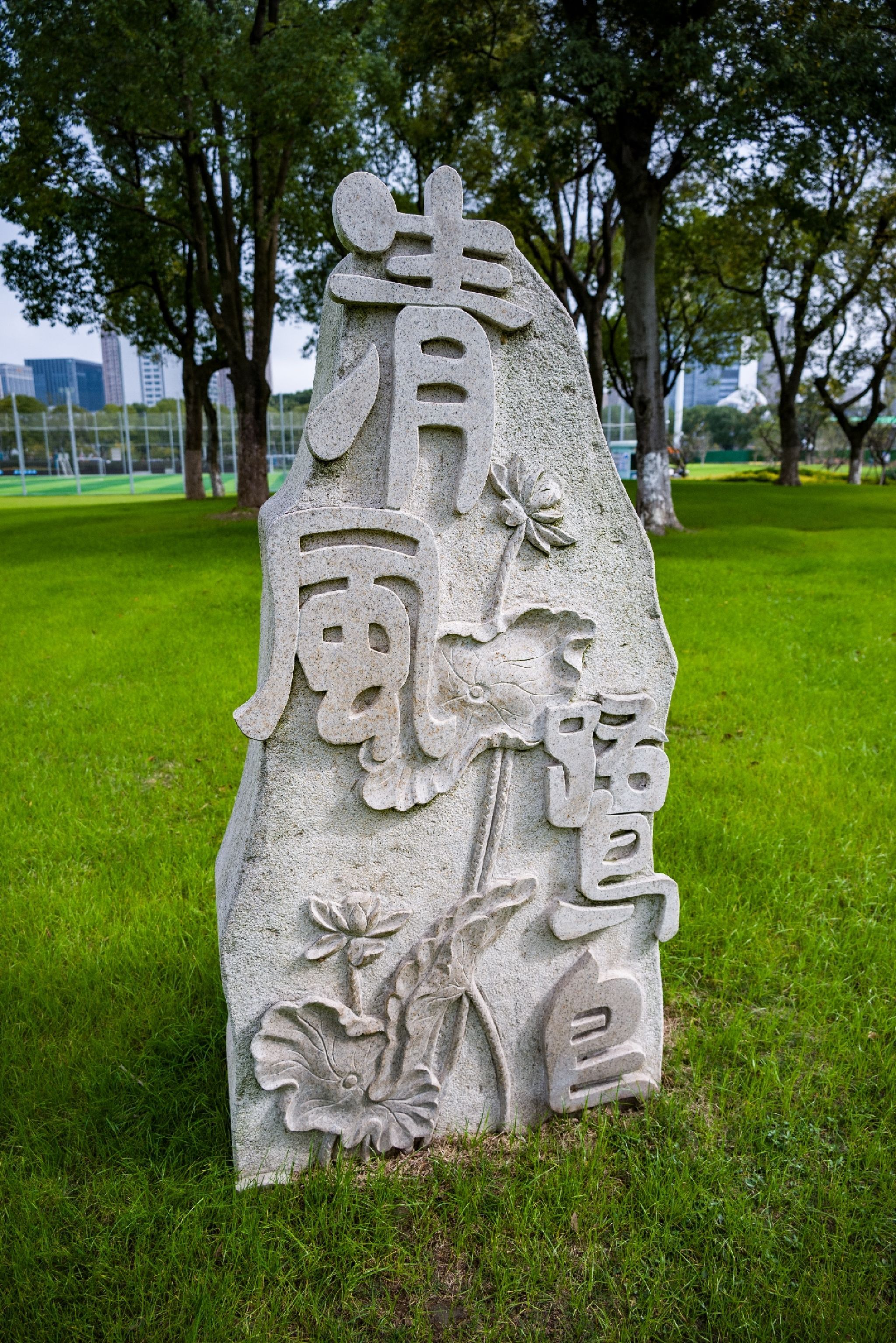 时代公园旅行图片 3