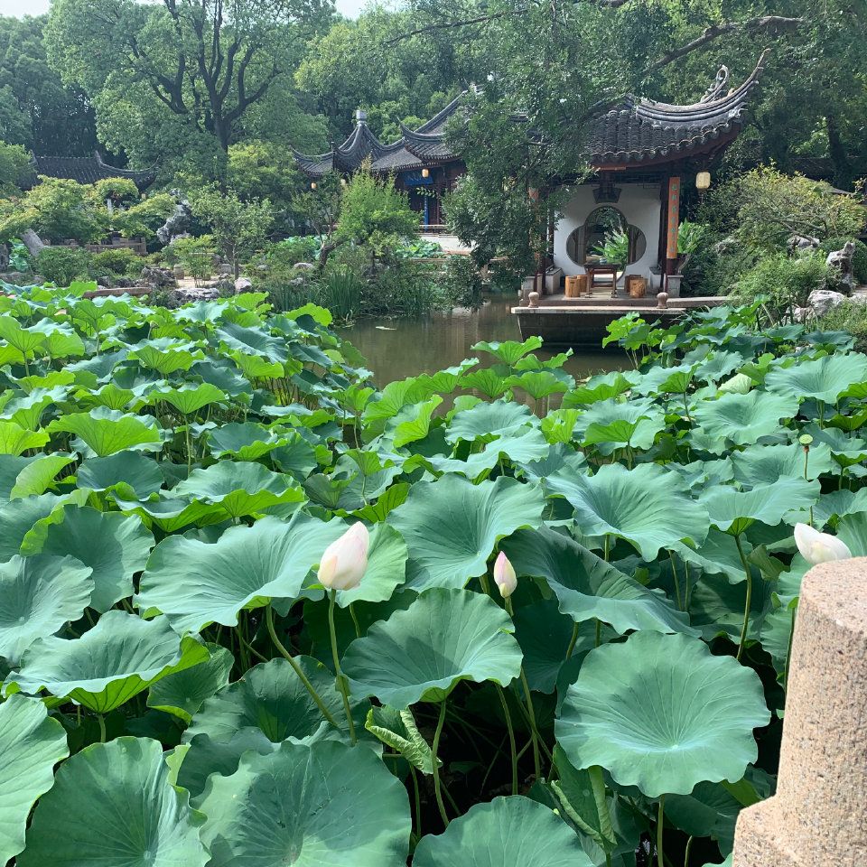 瑞园旅行图片 3
