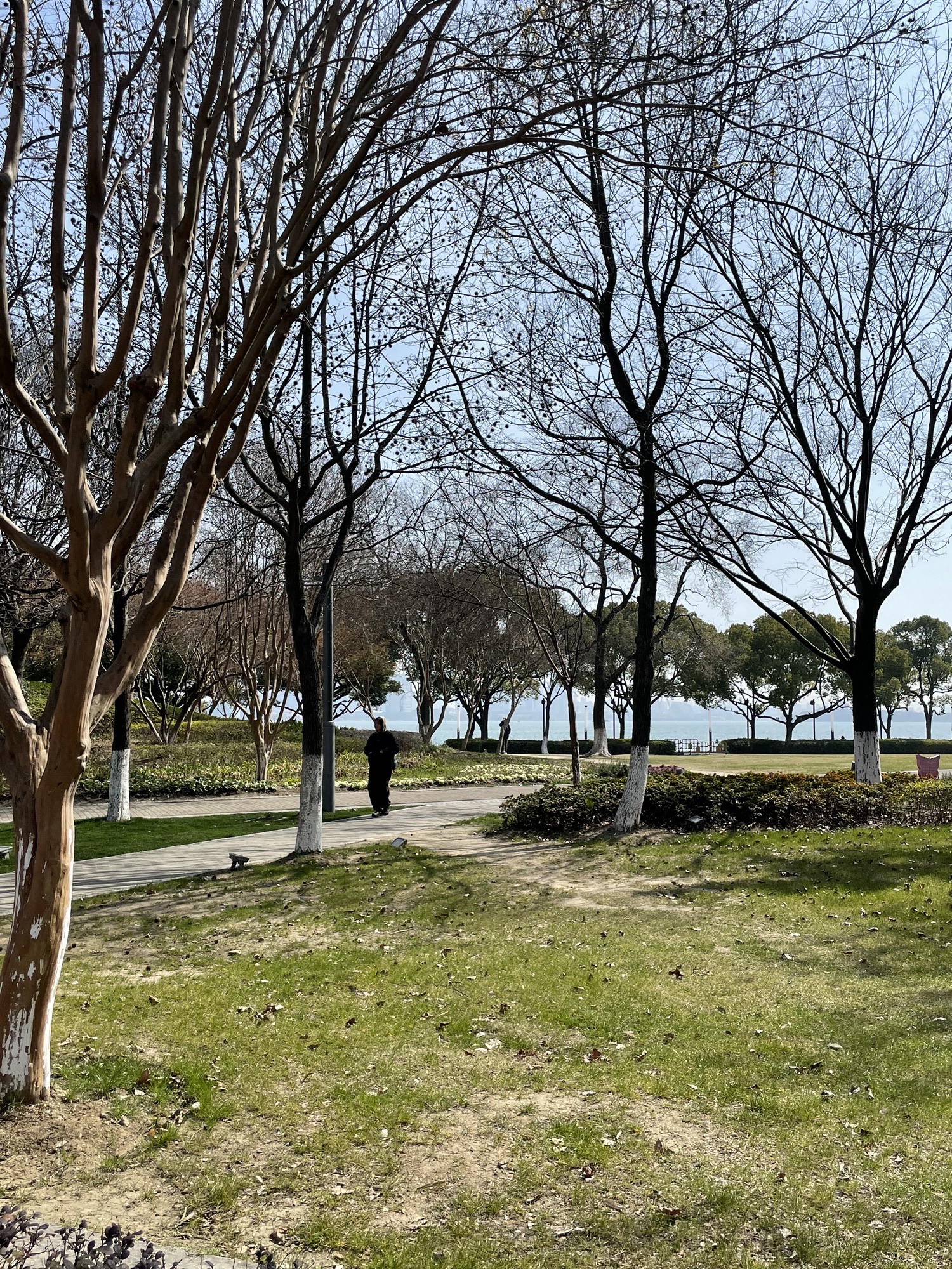 金鸡湖景区旅行图片 1