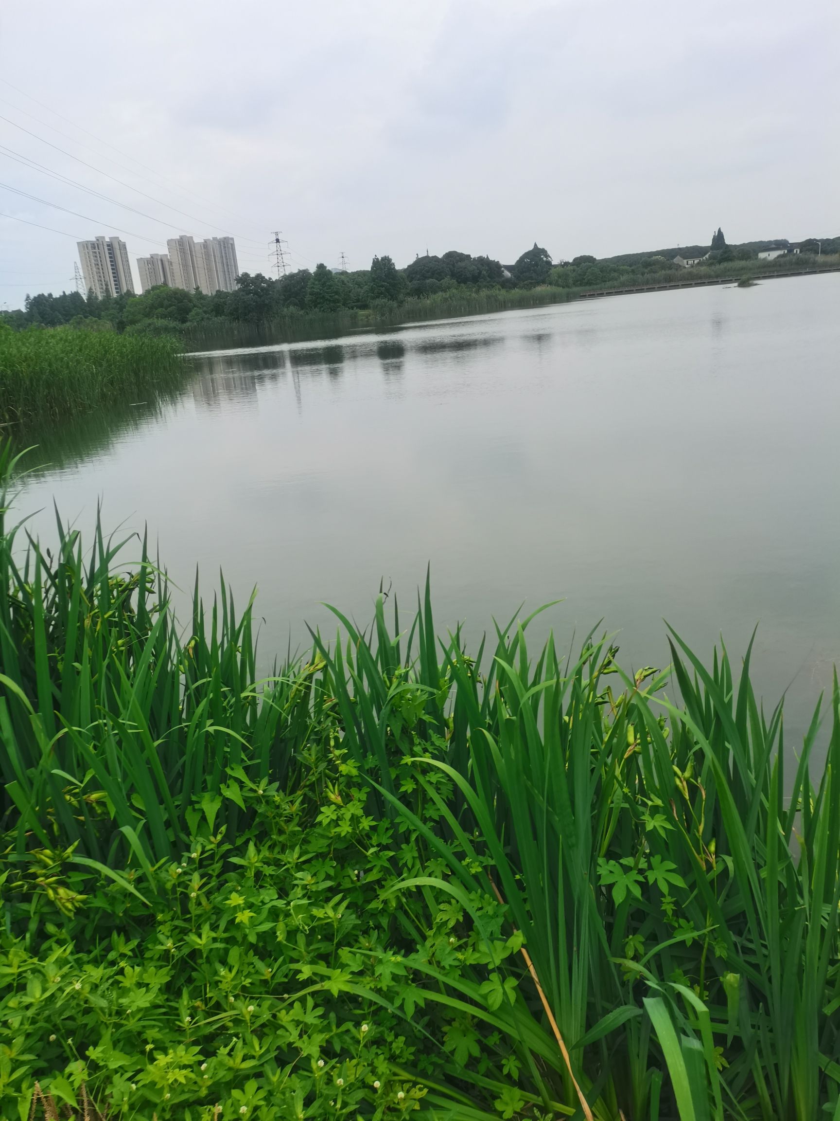 紫薇园旅行图片 3
