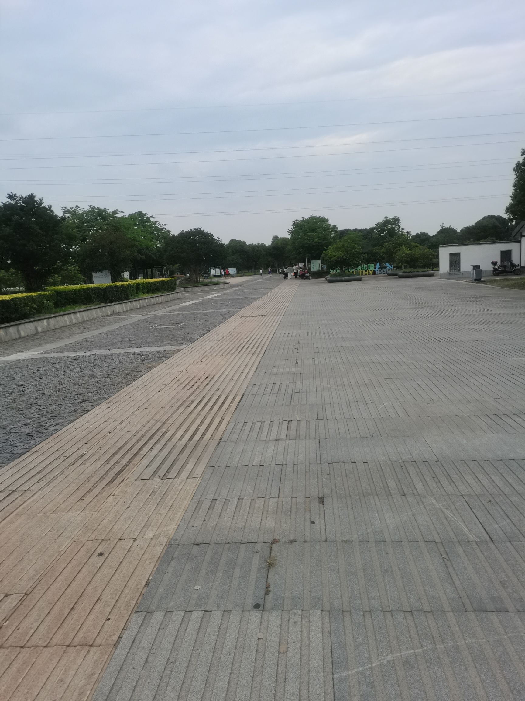 紫薇园旅行图片 2