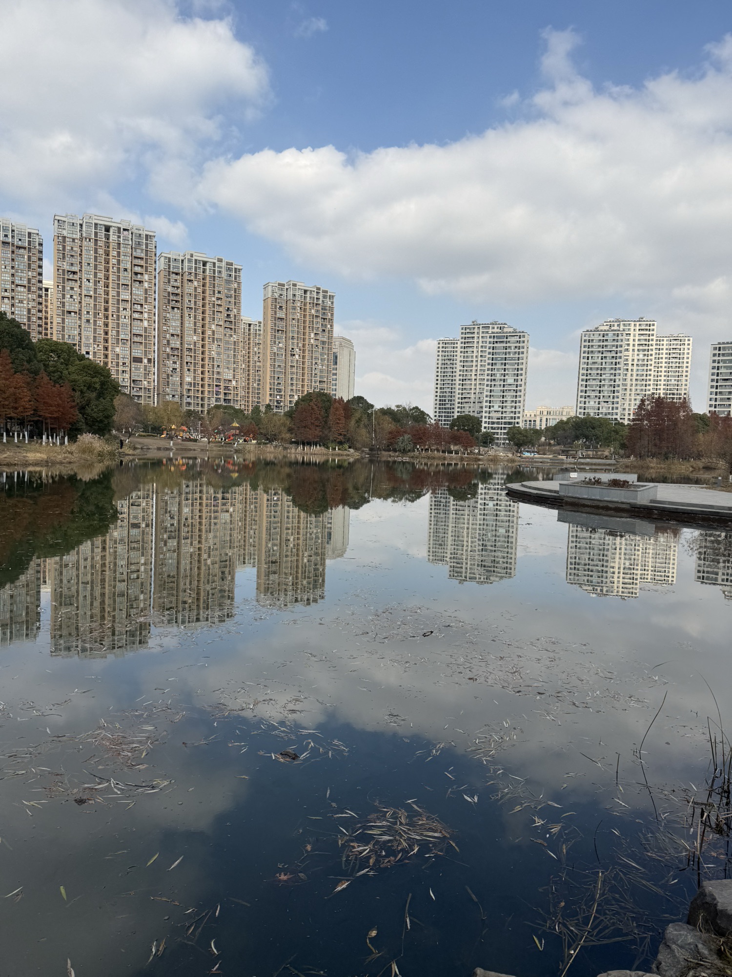 顾炎武公园旅行图片 2